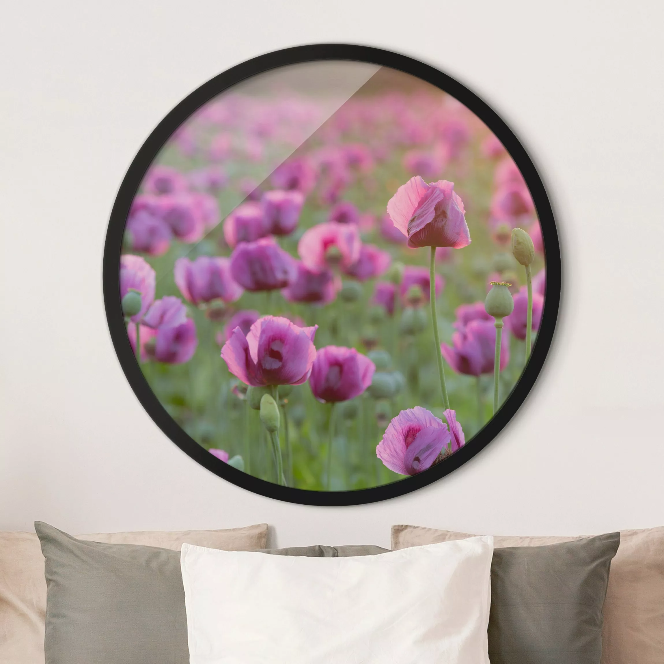 Rundes Gerahmtes Bild Violette Schlafmohn Blumenwiese im Frühling günstig online kaufen