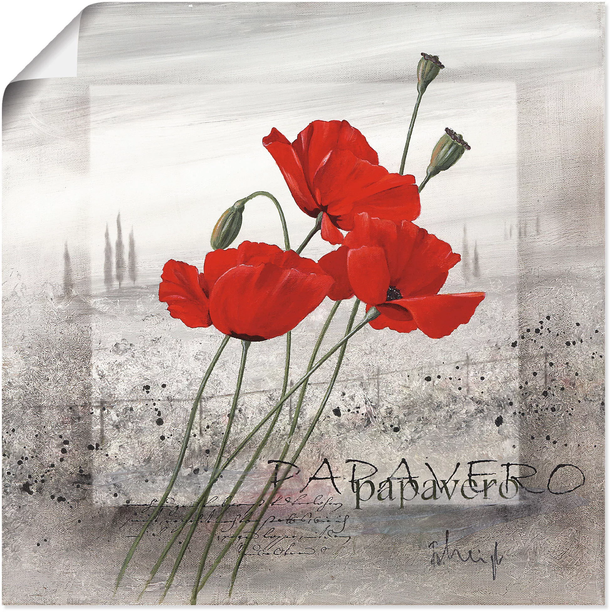 Artland Wandbild "Mohnblumen", Blumen, (1 St.), als Leinwandbild, Poster, W günstig online kaufen
