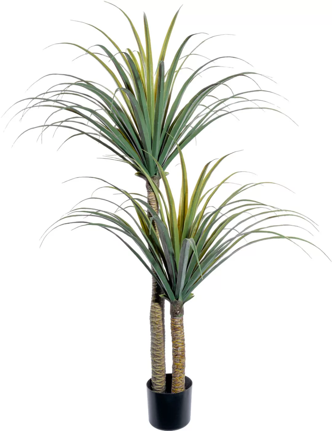 Creativ green Künstliche Zimmerpflanze »Dracaena draco« günstig online kaufen