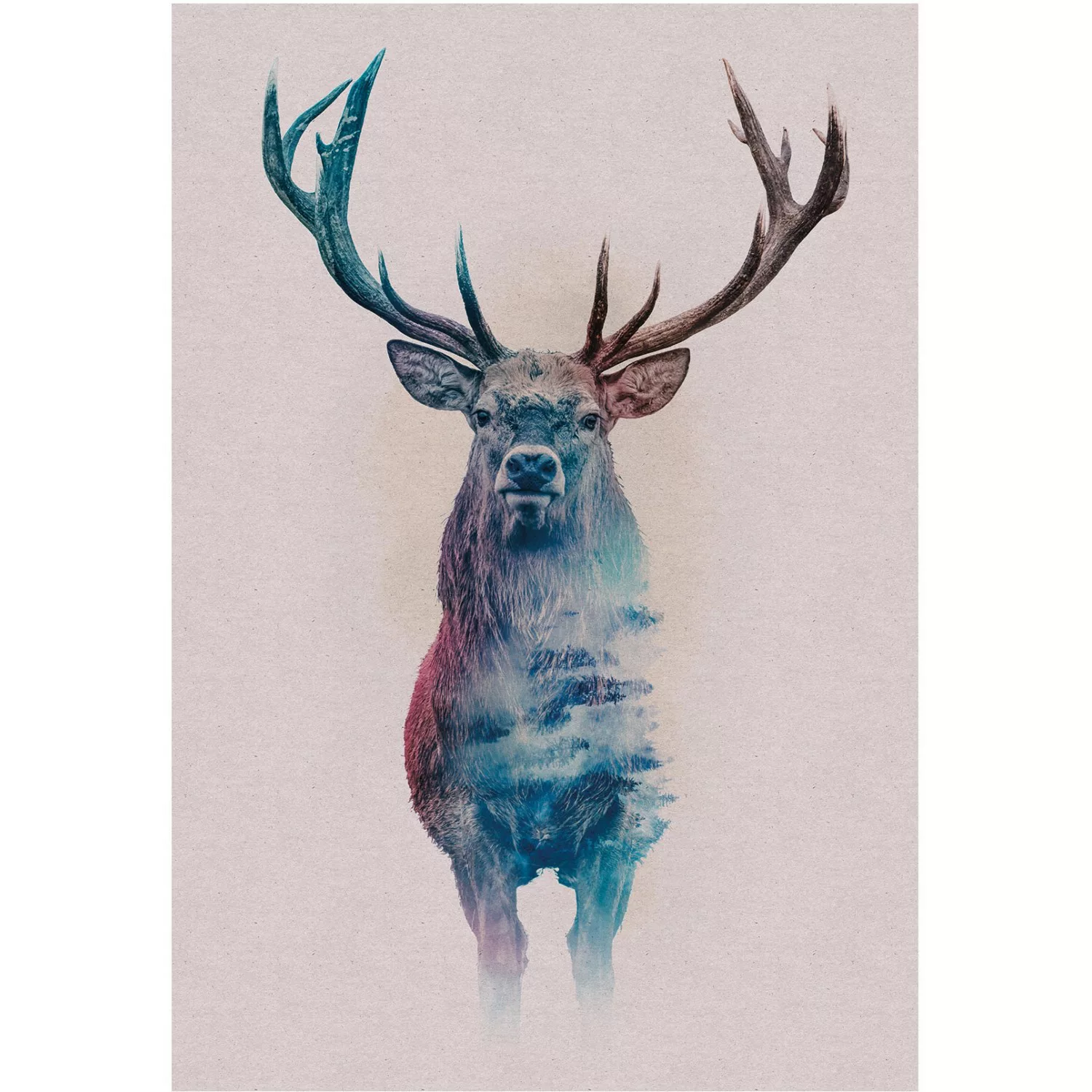 Komar Poster »Animals Forest Deer«, Tiere, (1 St.), Kinderzimmer, Schlafzim günstig online kaufen