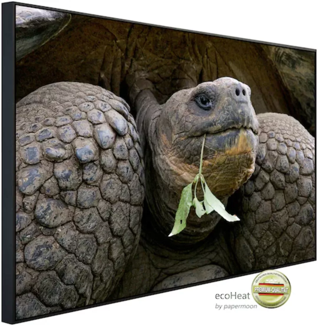 Papermoon Infrarotheizung »Riesenschildkrötenporträt«, sehr angenehme Strah günstig online kaufen