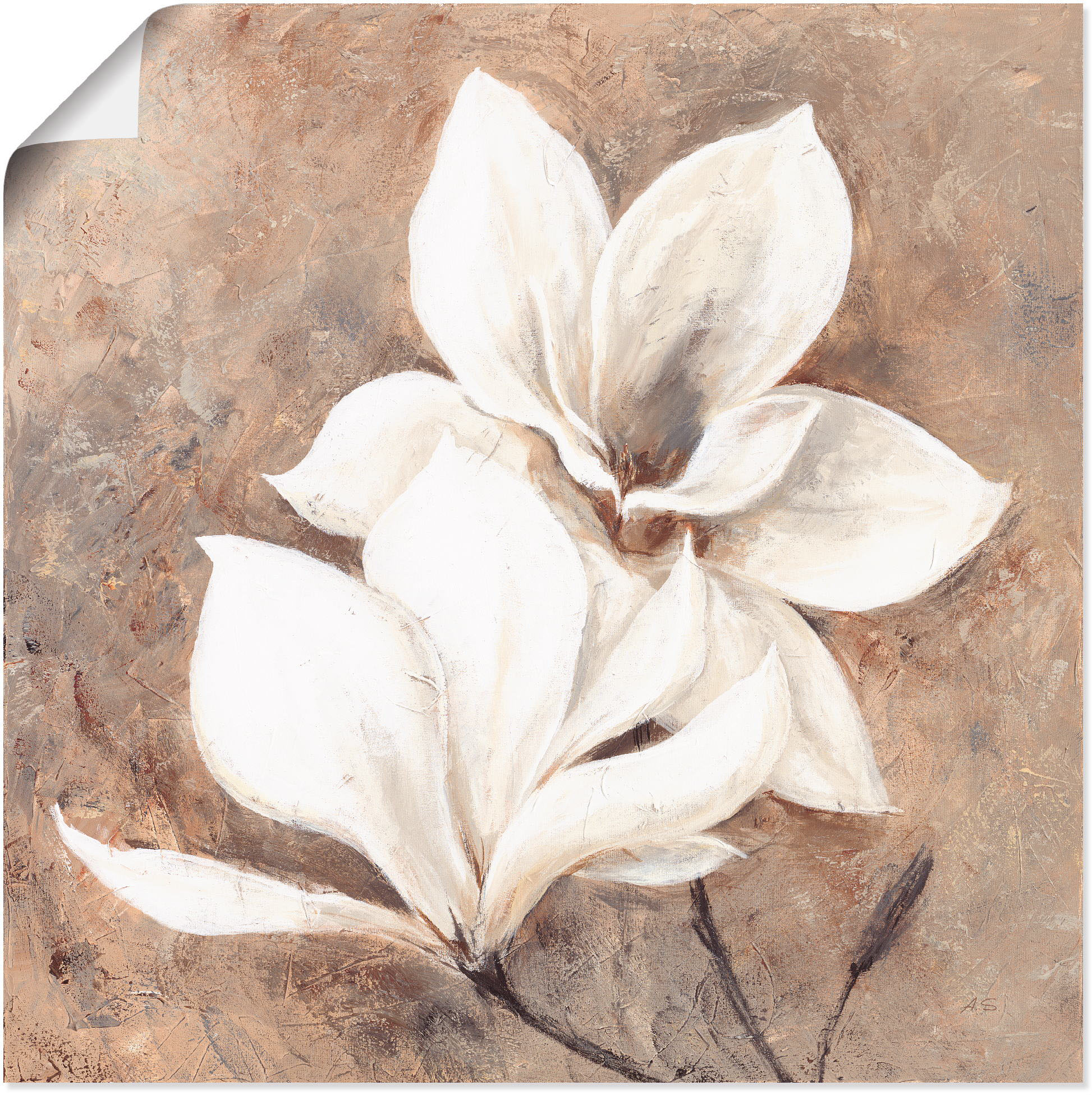 Artland Wandbild "Klassische Magnolien", Blumen, (1 St.), als Alubild, Outd günstig online kaufen