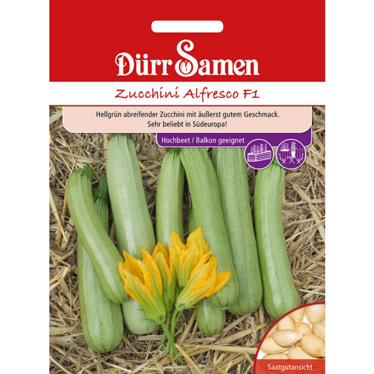 Dürr Samen Zucchini Alfresco F1 Saatgut günstig online kaufen