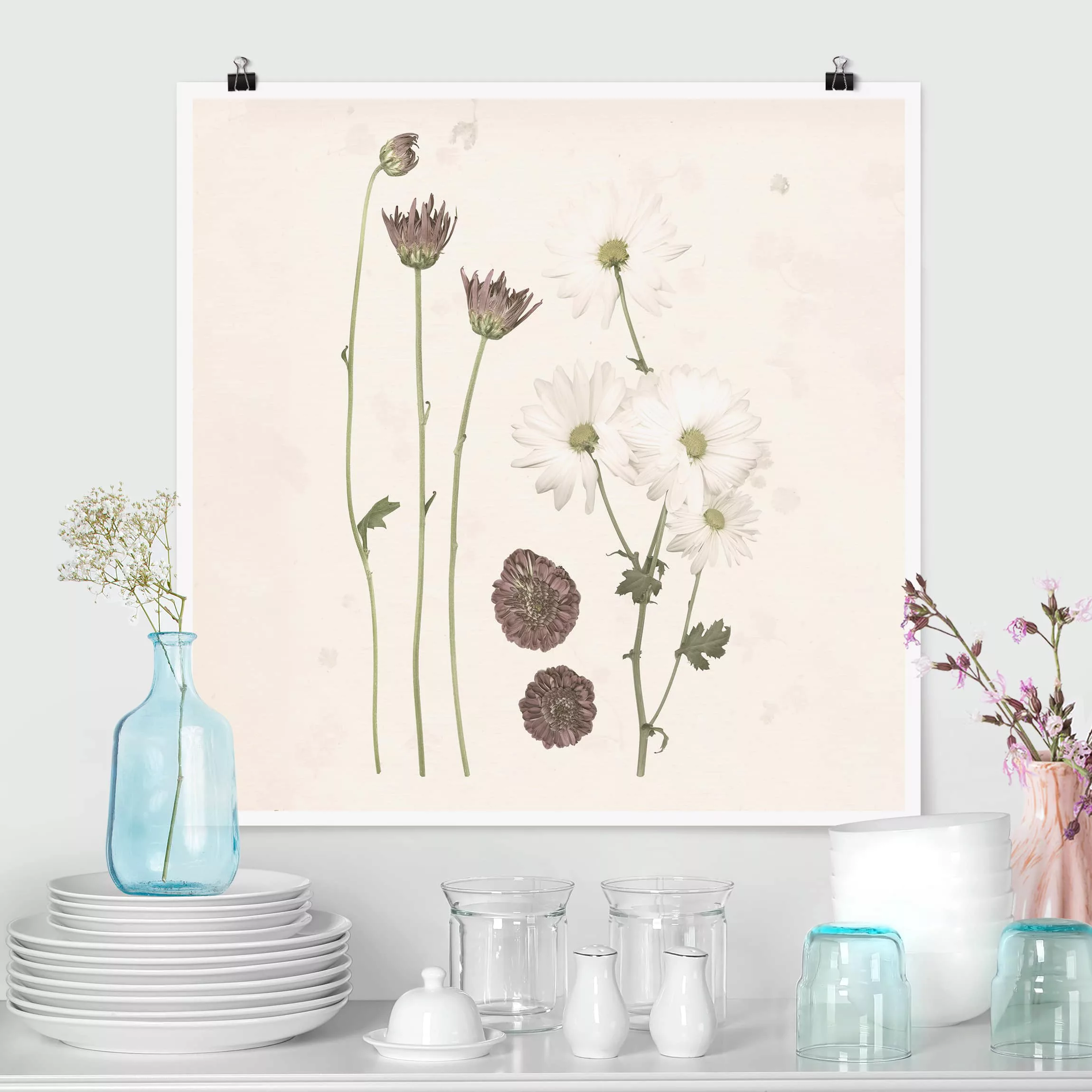 Poster Blumen - Quadrat Herbarium in rosa IV günstig online kaufen