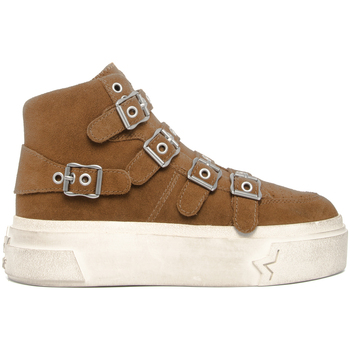 Ash  Sneaker STARMOONBK5 CALF SUEDE LAND günstig online kaufen