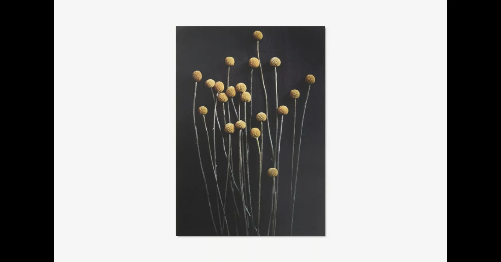 Paper Collective Still Life 01 - Yellow Drumsticks Kunstdruck von Pia Winth günstig online kaufen