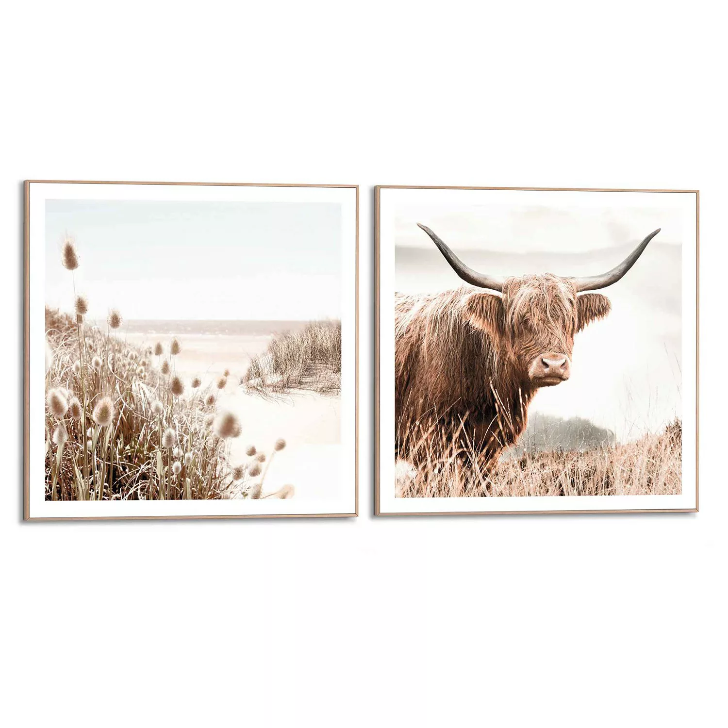 Reinders! Wandbild »Freie Natur Highlander - Kuh - Heide - Strand - Ruhe«, günstig online kaufen