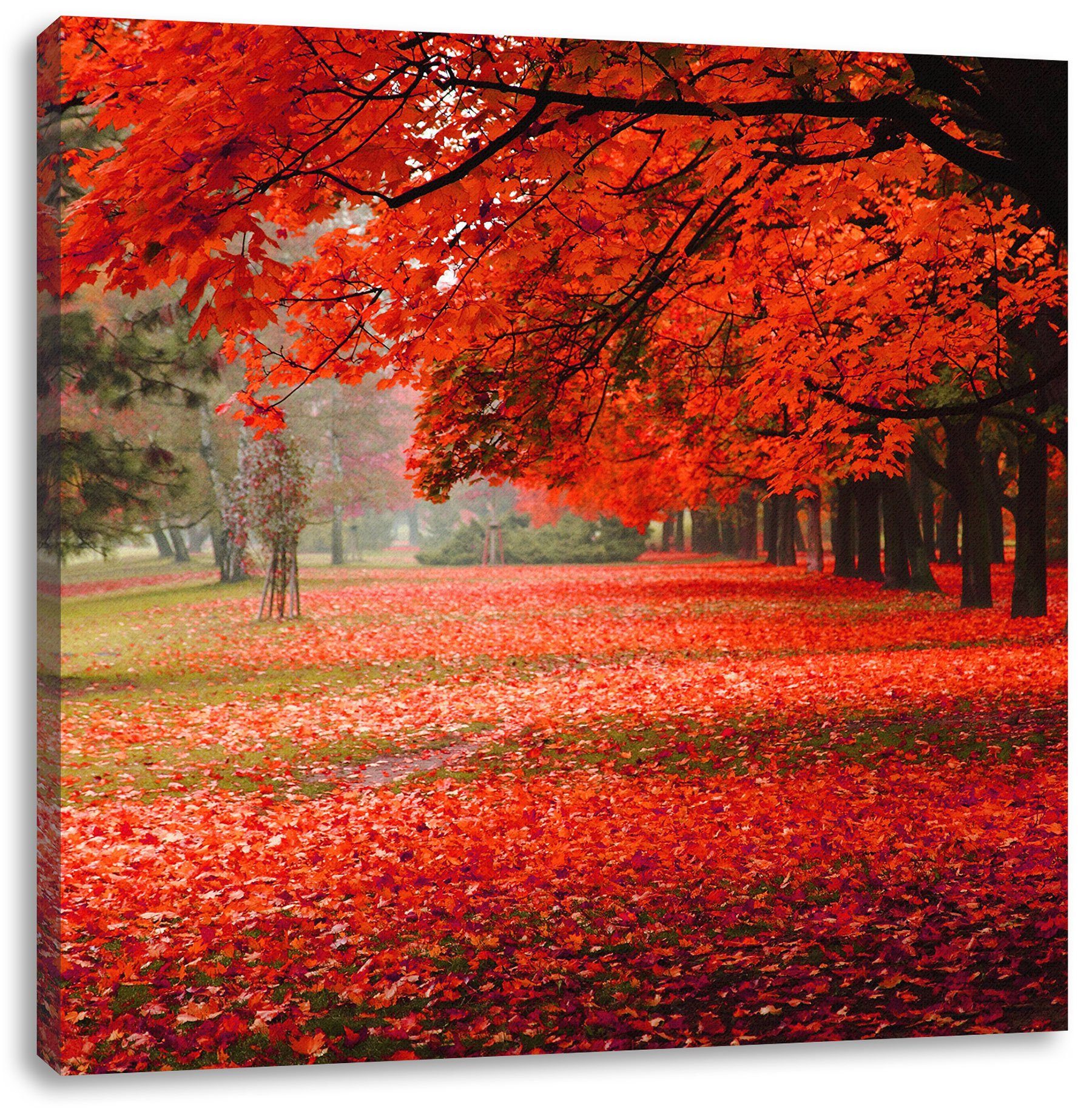 Pixxprint Leinwandbild Rot gefärbter Park im günstig online kaufen