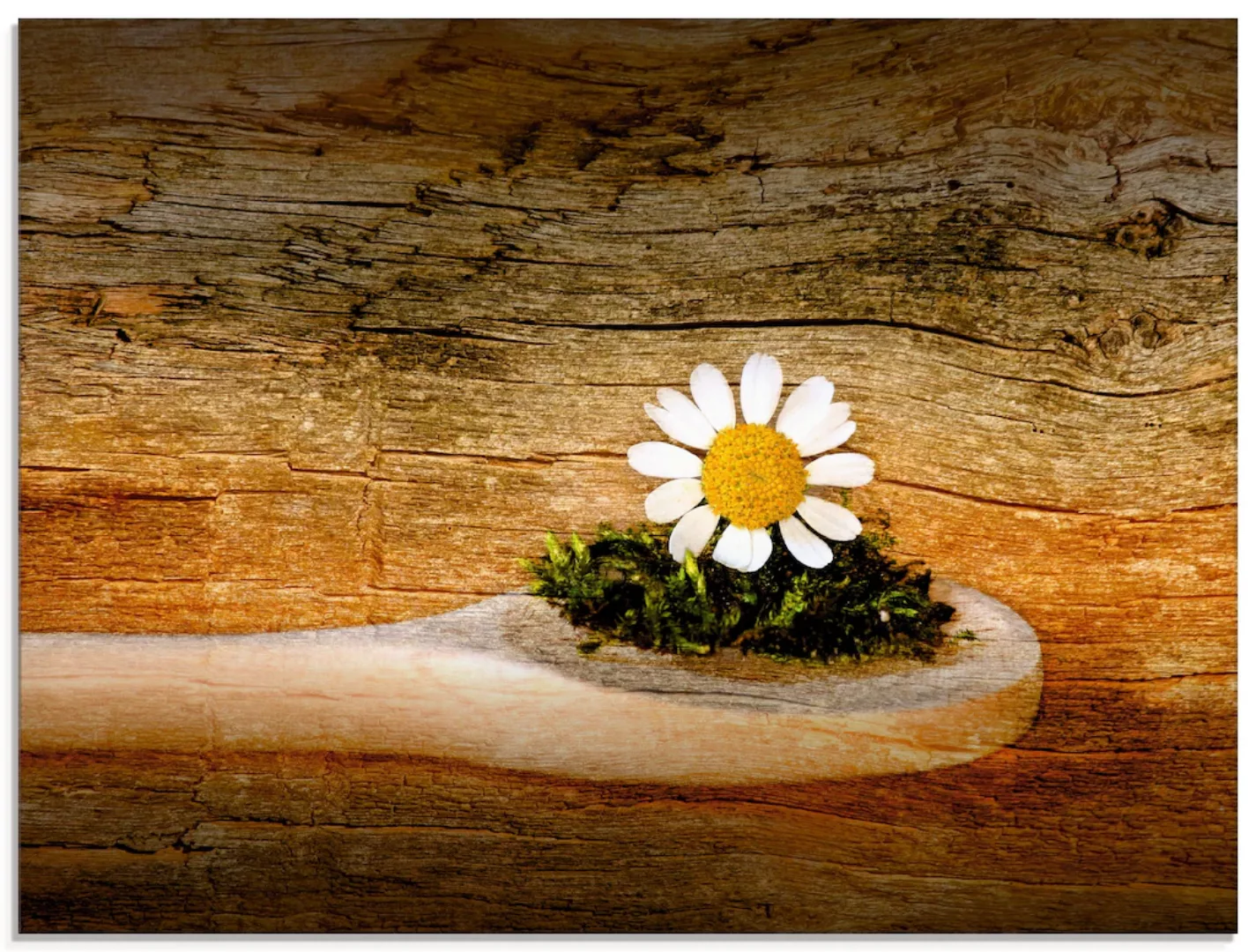 Artland Glasbild "Kamille", Blumen, (1 St.) günstig online kaufen