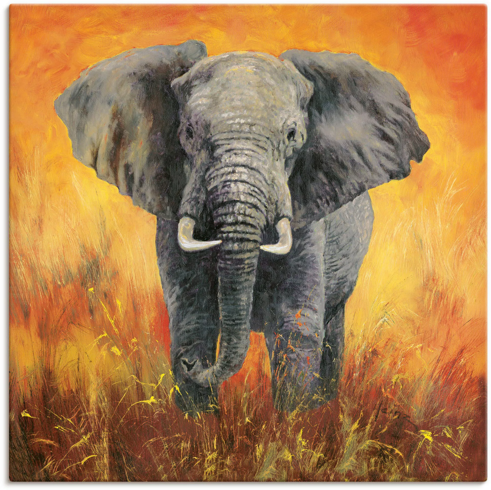 Artland Wandbild "Porträt Elefant", Elefanten Bilder, (1 St.) günstig online kaufen