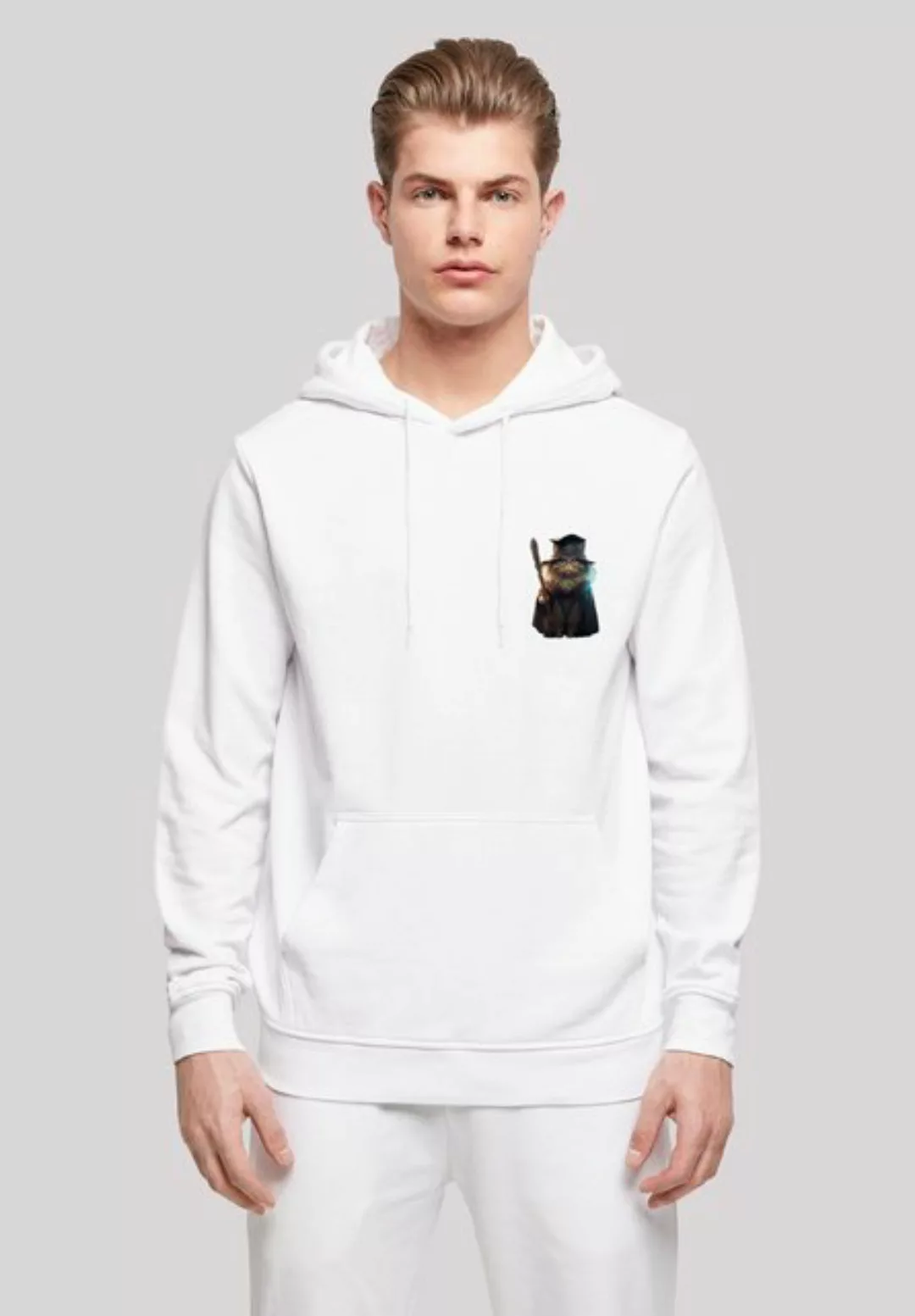 F4NT4STIC Kapuzenpullover "Wizard Cat HOODIE", Print günstig online kaufen