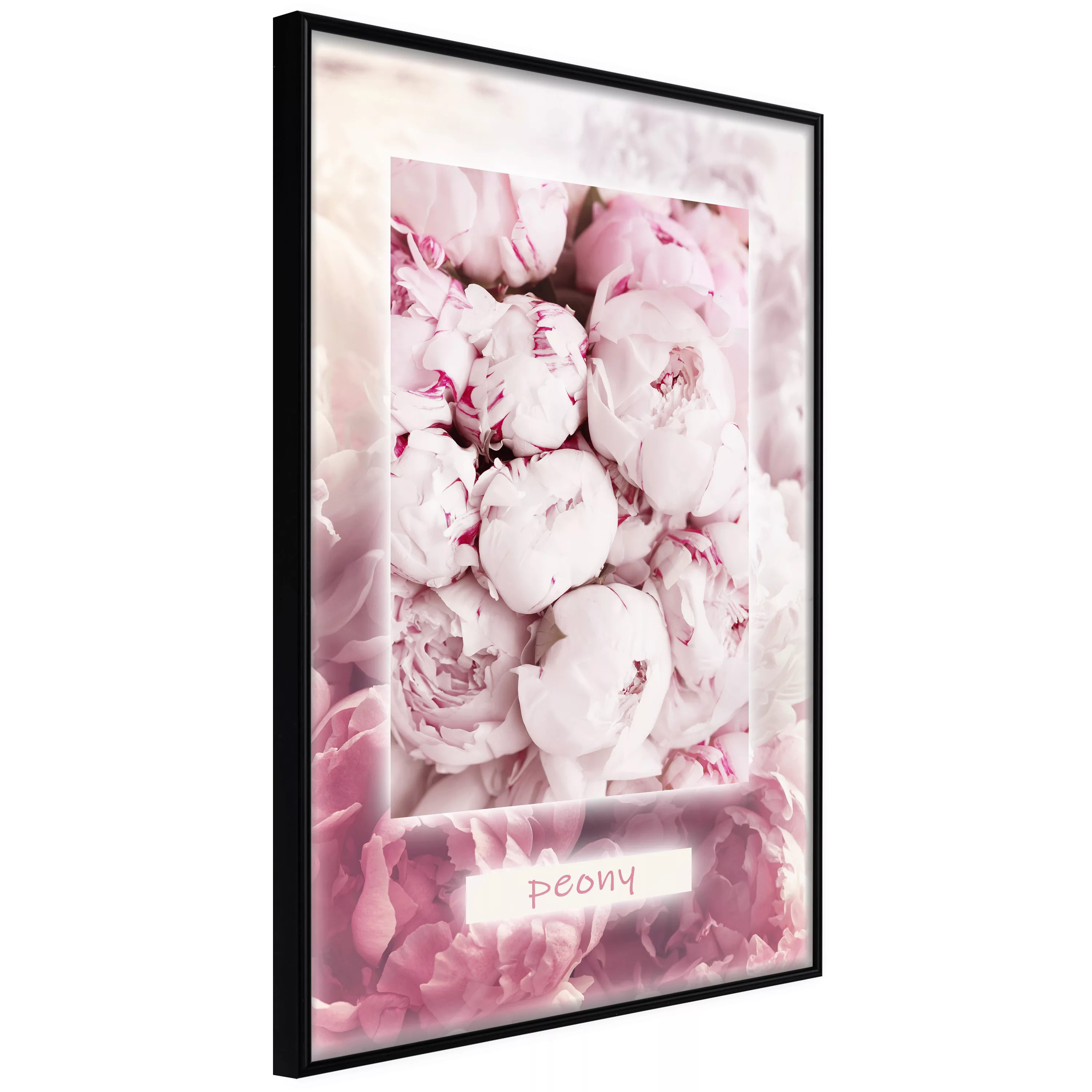 Poster - Scent Of Peonies günstig online kaufen