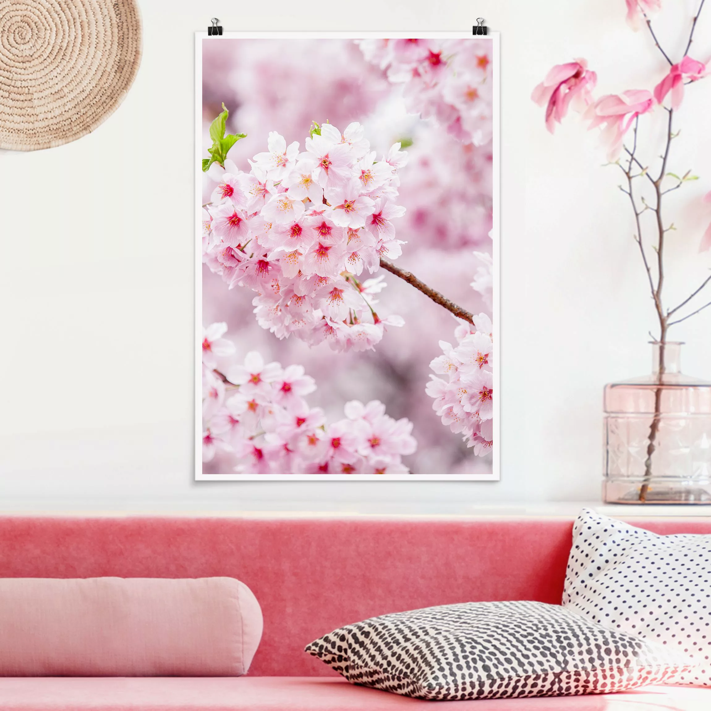 Poster Japanische Kirschblüten günstig online kaufen