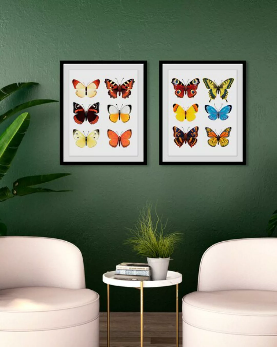 queence Bild »Irina«, Schmetterlinge-Kunst-Insekten, (1 St.), HD Premium Po günstig online kaufen