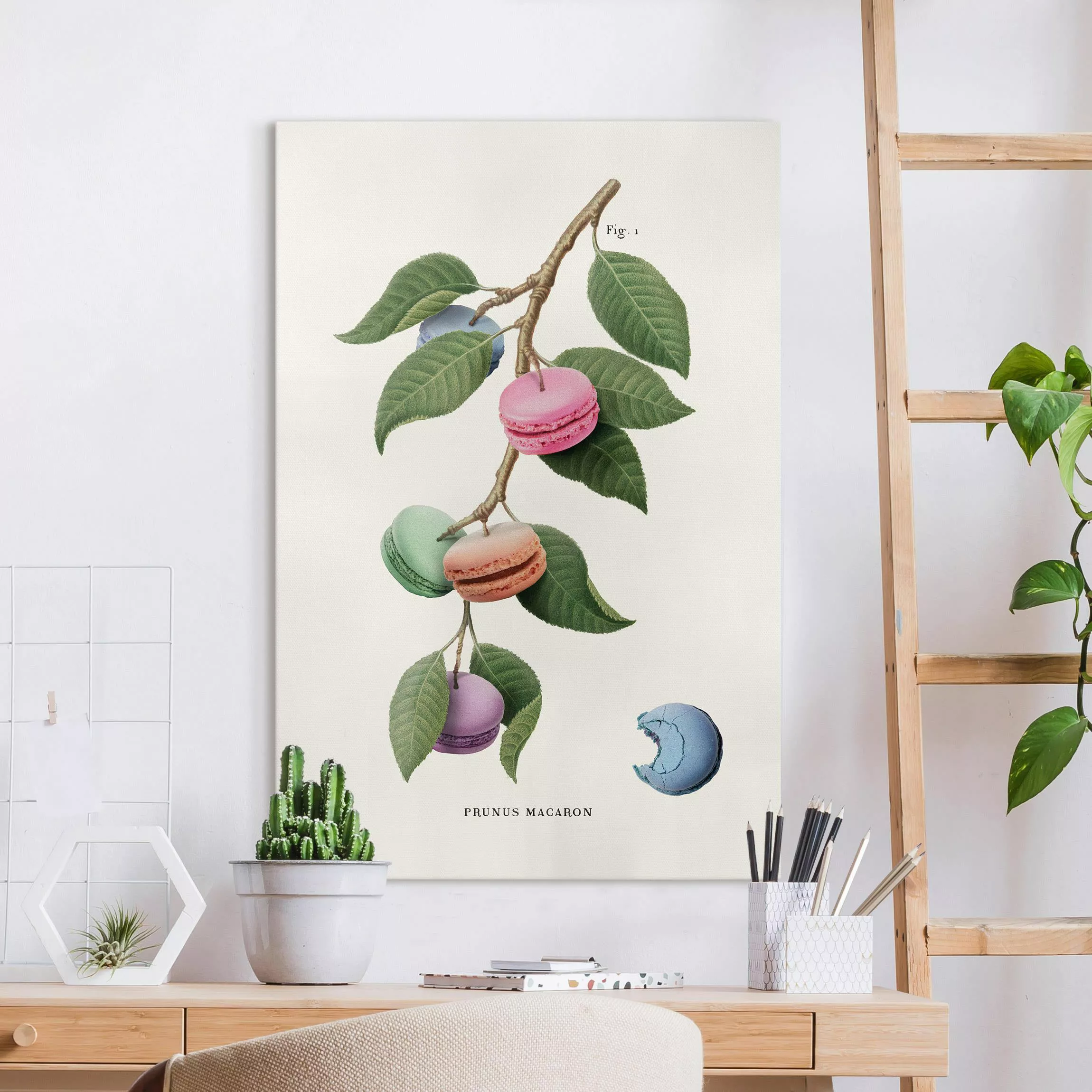 Leinwandbild Vintage Pflanze - Macaron günstig online kaufen