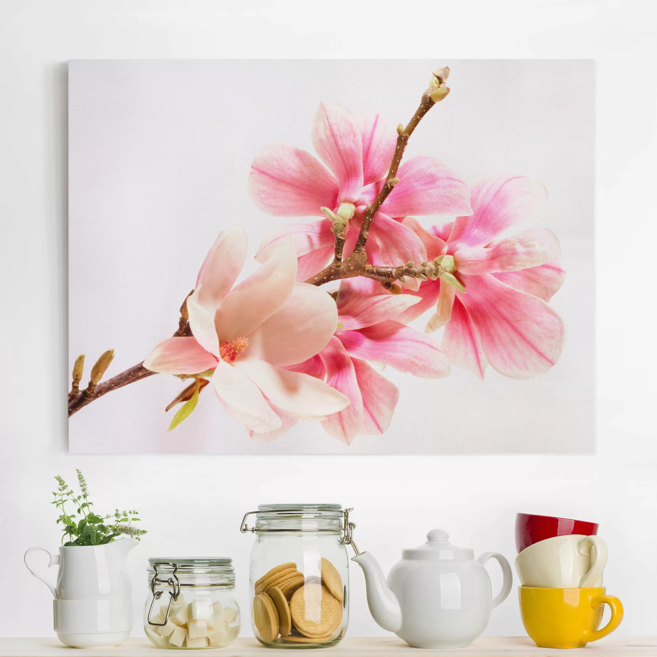 Leinwandbild Blumen - Querformat Magnolienblüten günstig online kaufen
