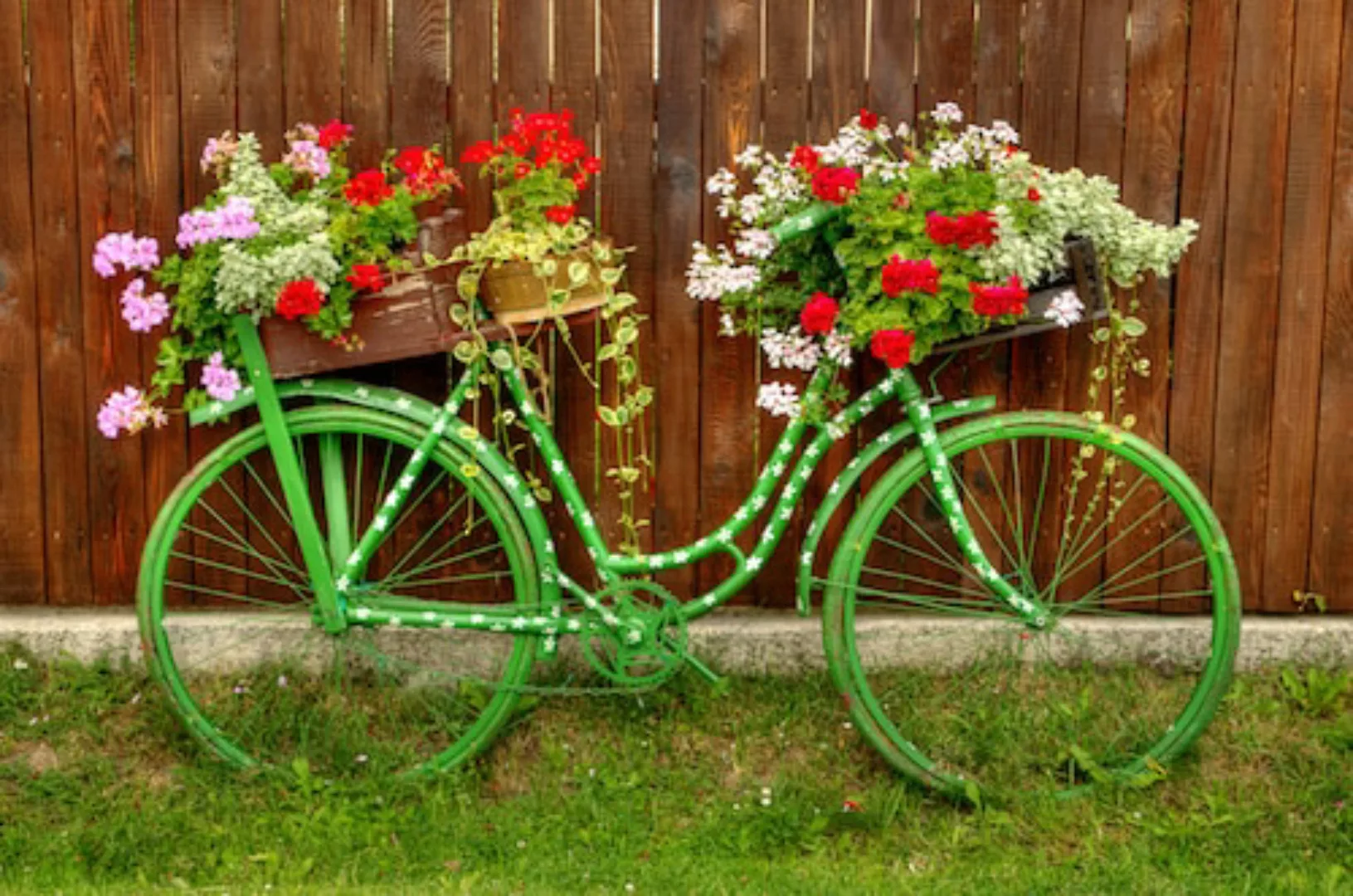 Papermoon Fototapete »Vintage Fahrrad« günstig online kaufen