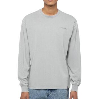 Dickies  Sweatshirt DK0A866CD061 günstig online kaufen