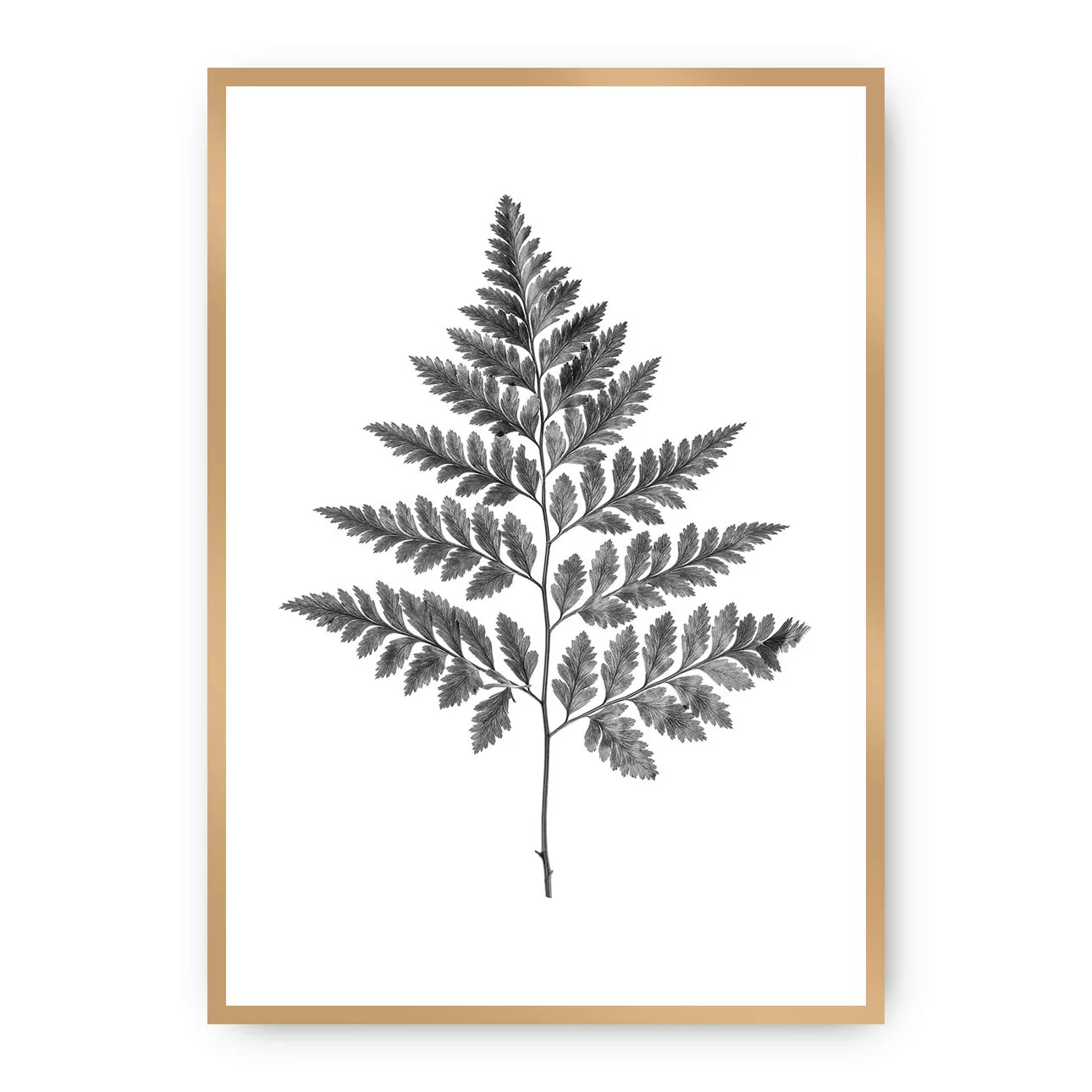 Poster Fern Grey, 21 x 30 cm, Rahmen wählen: gold günstig online kaufen