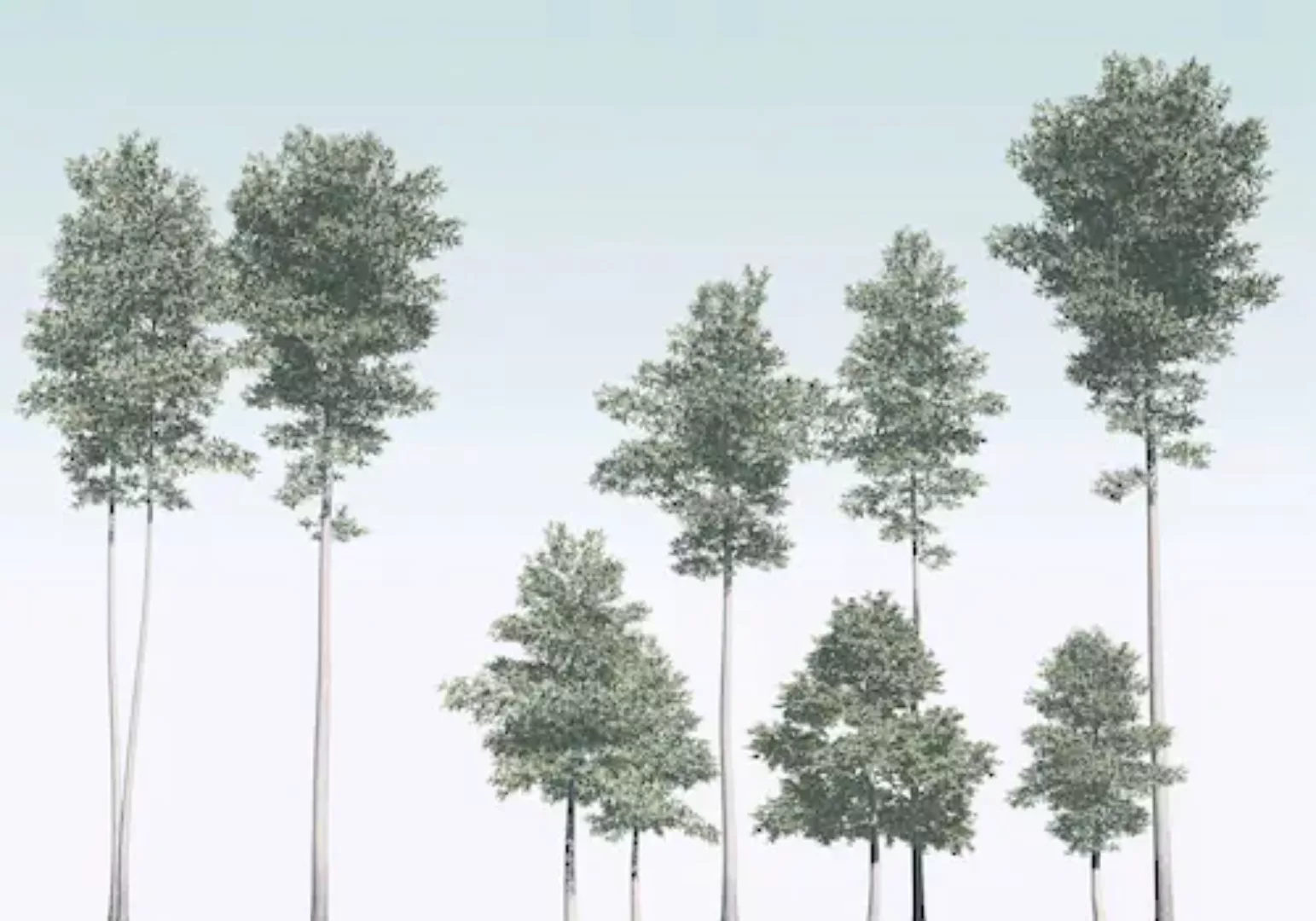 KOMAR Vlies Fototapete - Pines - Größe 400 x 280 cm mehrfarbig günstig online kaufen