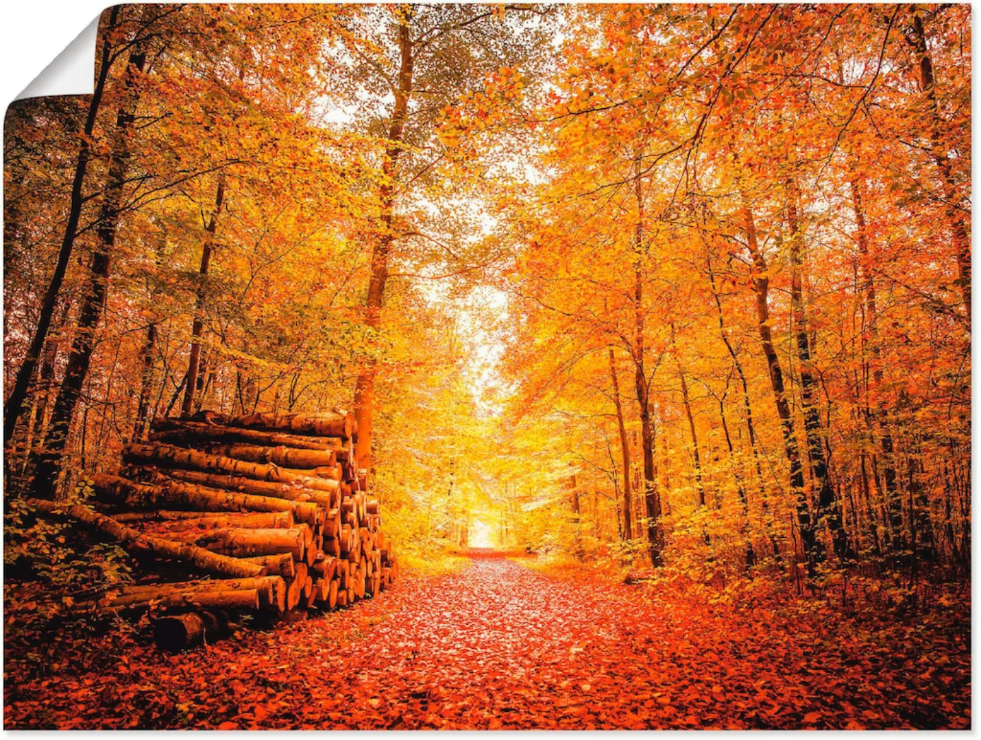 Artland Poster "Herbstlandschaft", Vier Jahreszeiten, (1 St.), als Alubild, günstig online kaufen