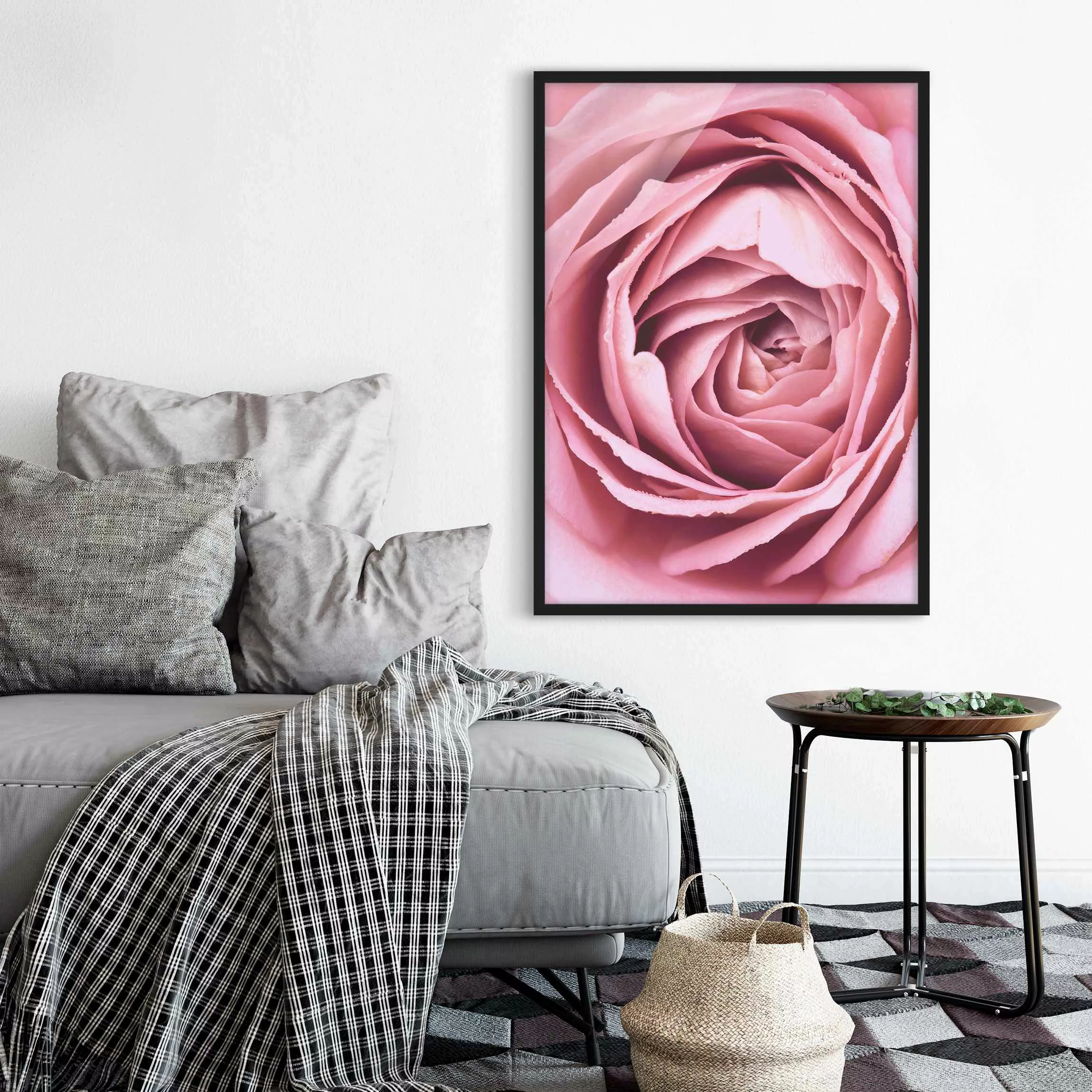Bild mit Rahmen Blumen - Hochformat Rosa Rosenblüte günstig online kaufen