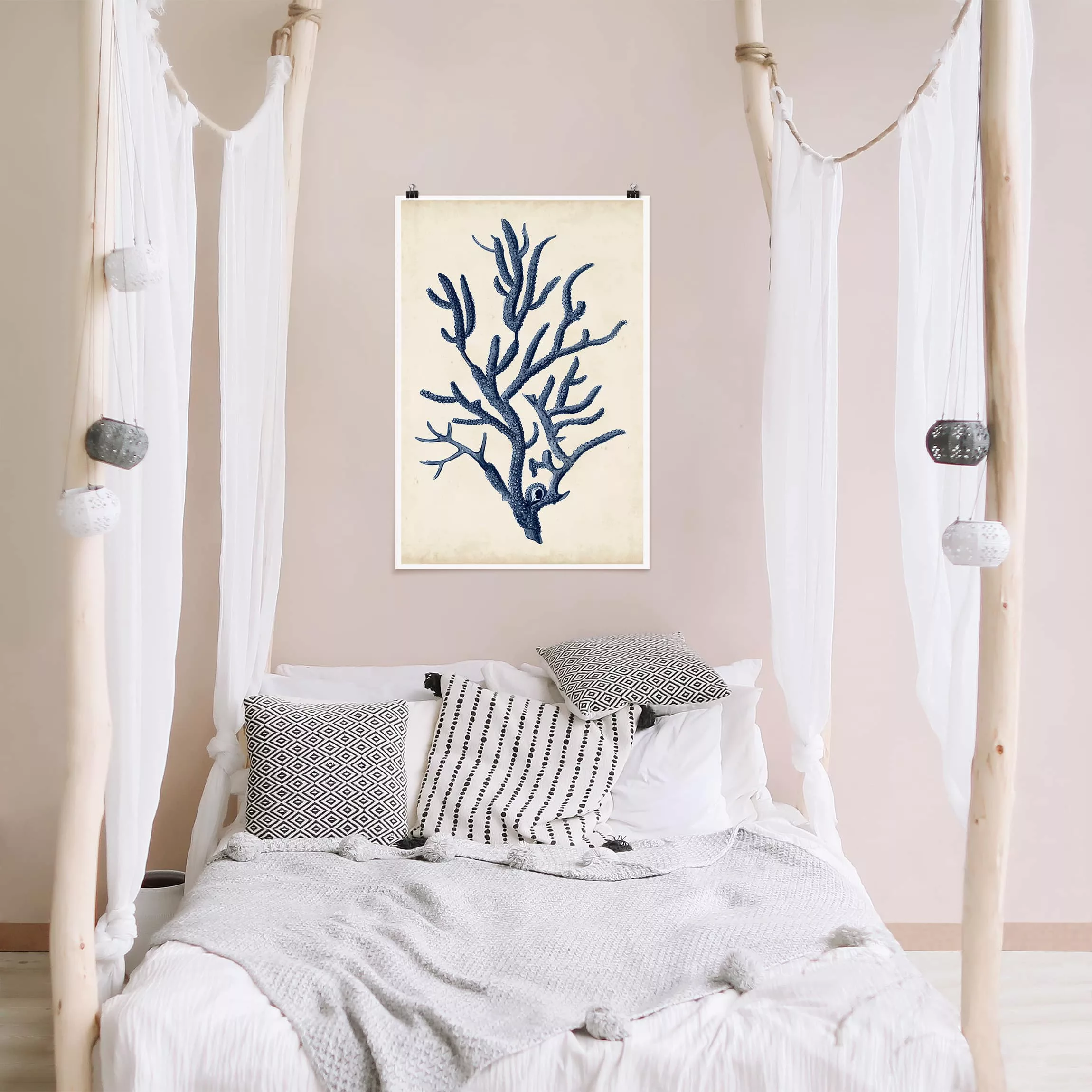 Poster Blumen - Hochformat Indigo Koralle II günstig online kaufen