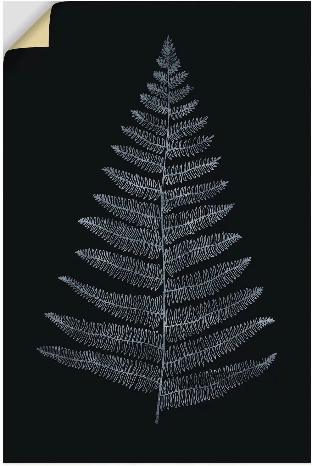 Artland Wandfolie »Botanica Minimalistica«, Blätterbilder, (1 St.), selbstk günstig online kaufen
