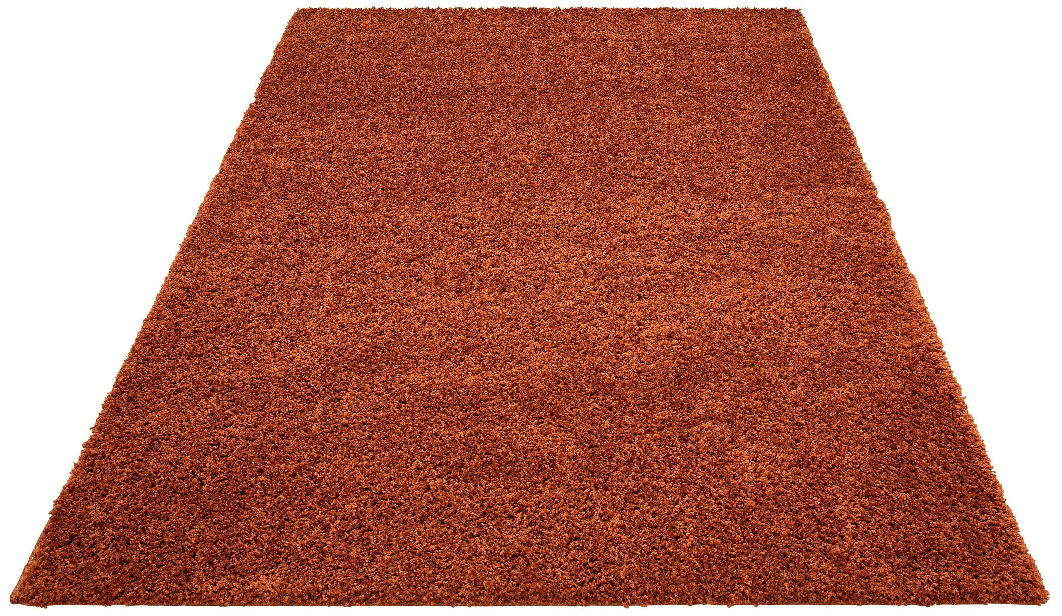 my home Hochflor-Teppich Viva, rechteckig, Höhe: günstig online kaufen