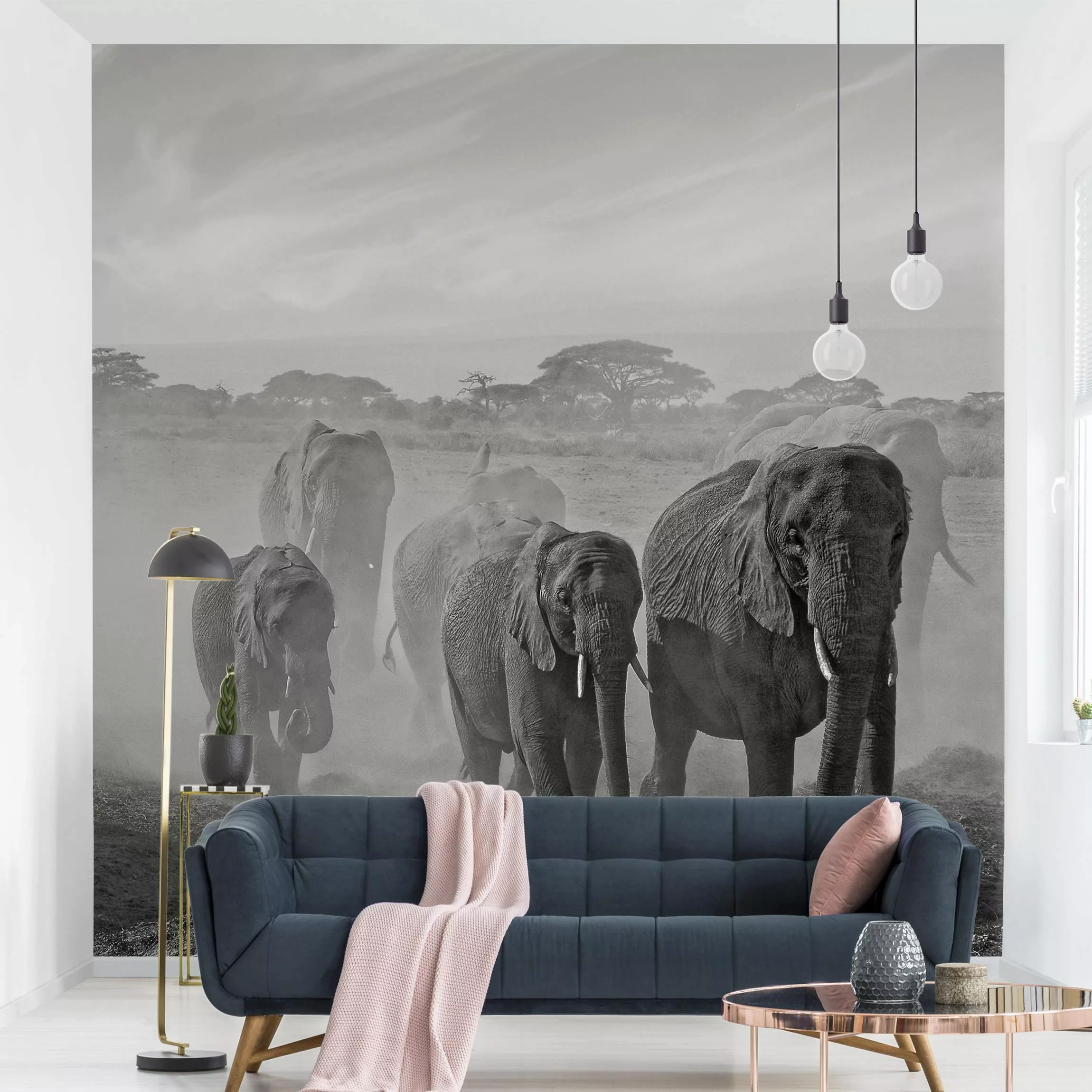 Fototapete Elefantenherde günstig online kaufen