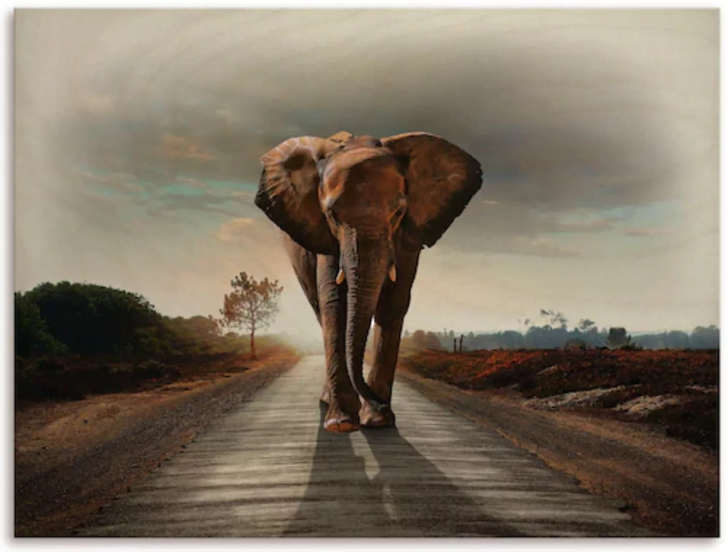 Artland Holzbild "Ein Elefant läuft auf der Straße", (1 St.) günstig online kaufen