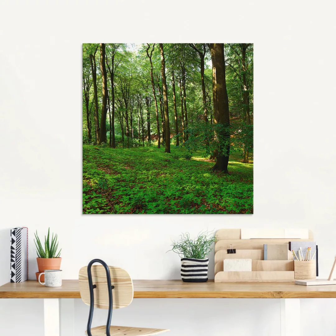 Artland Glasbild »Panorama von einem grünen Sommerwald«, Wald, (1 St.), in günstig online kaufen