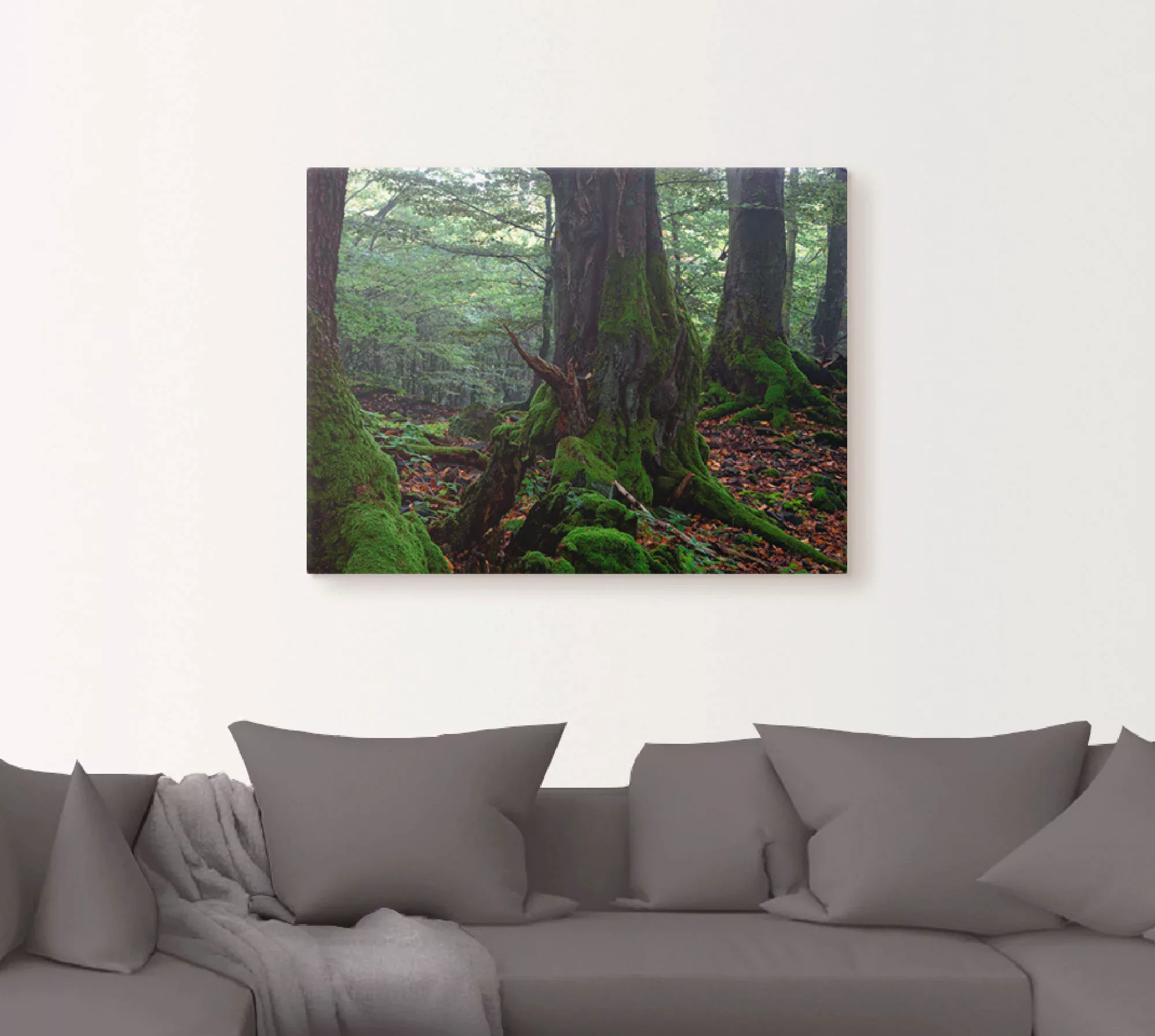 Artland Leinwandbild »Alte Bäume am Kraterrand«, Wald, (1 St.), auf Keilrah günstig online kaufen