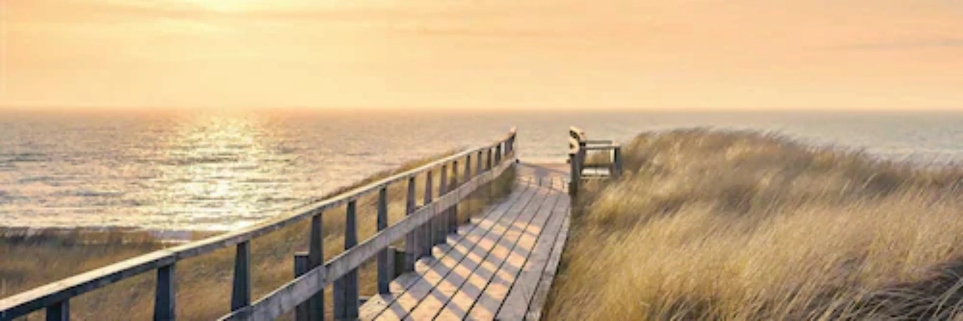 Reinders Deco-Panel "Weg zum Meer" günstig online kaufen