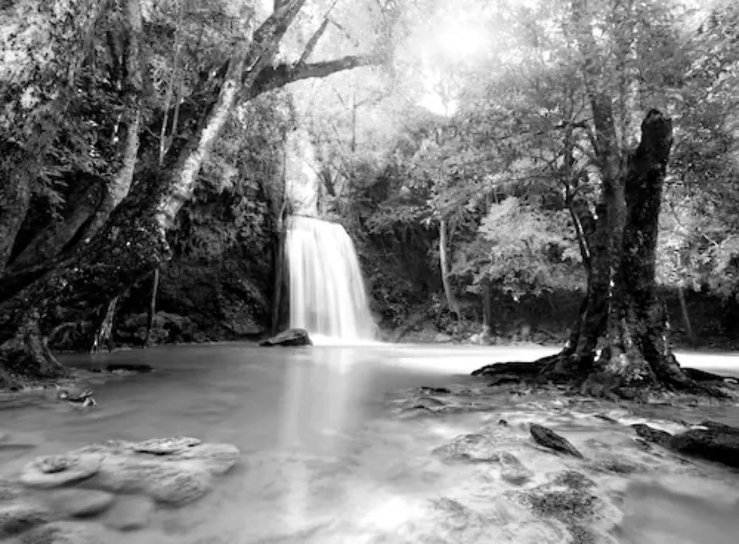 Papermoon Fototapete »Wasserfall im Wald Schwarz & Weiß« günstig online kaufen