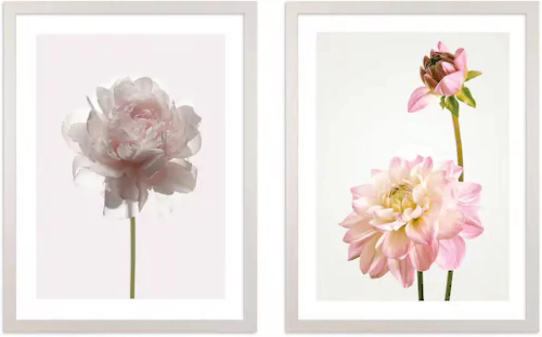 Komar Bild mit Rahmen »Floral Delights«, (2 St.), maschinell günstig online kaufen