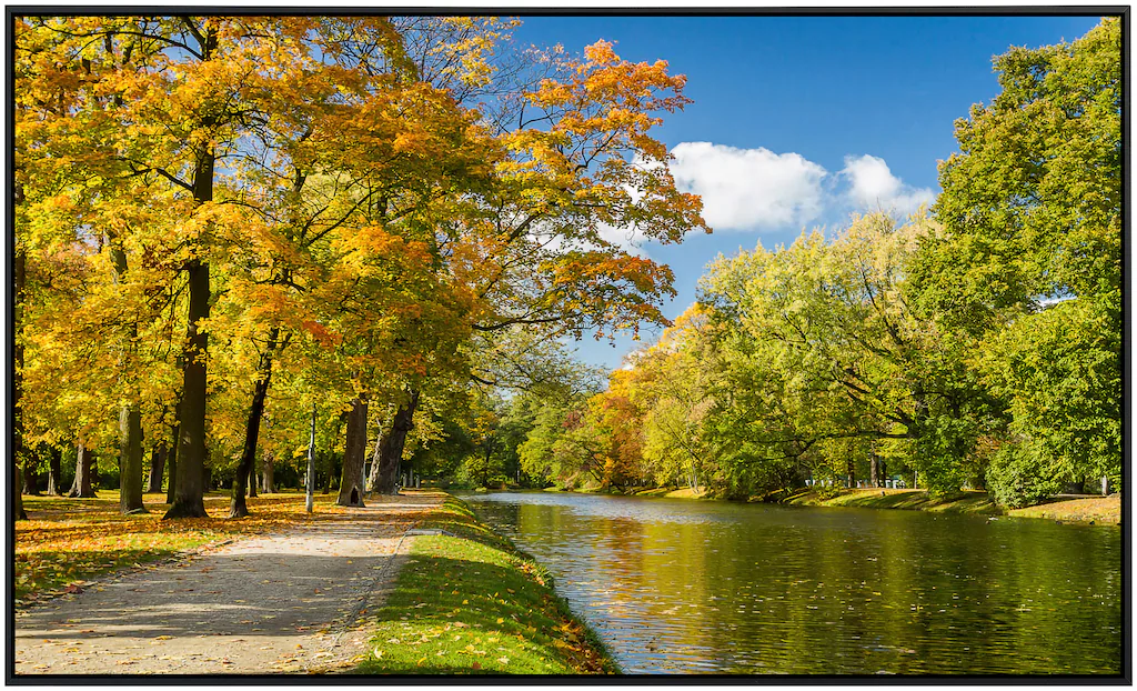 Papermoon Infrarotheizung »Fluss im Herbstpark«, sehr angenehme Strahlungsw günstig online kaufen