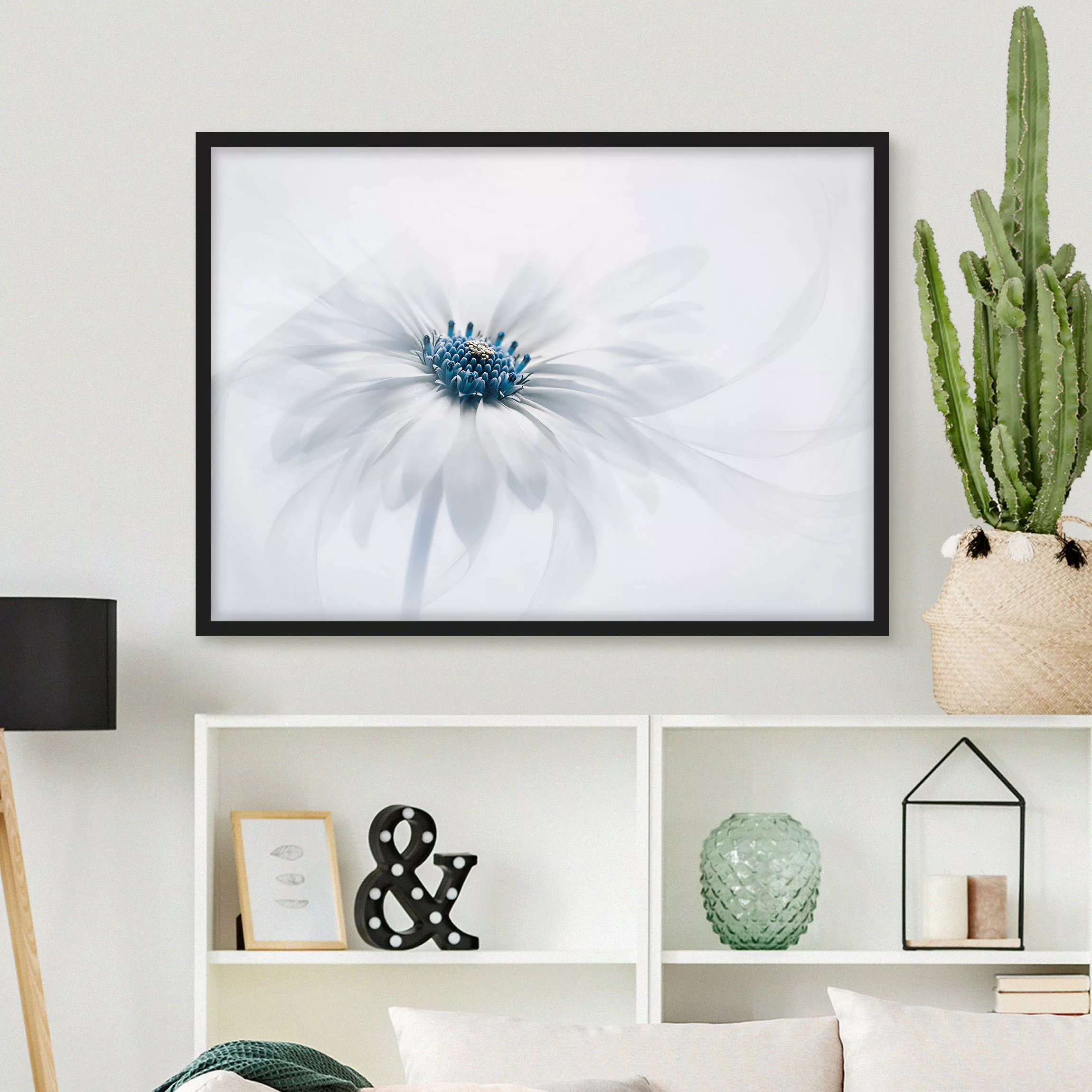 Bild mit Rahmen Blumen - Querformat Gänseblümchen in Blau günstig online kaufen
