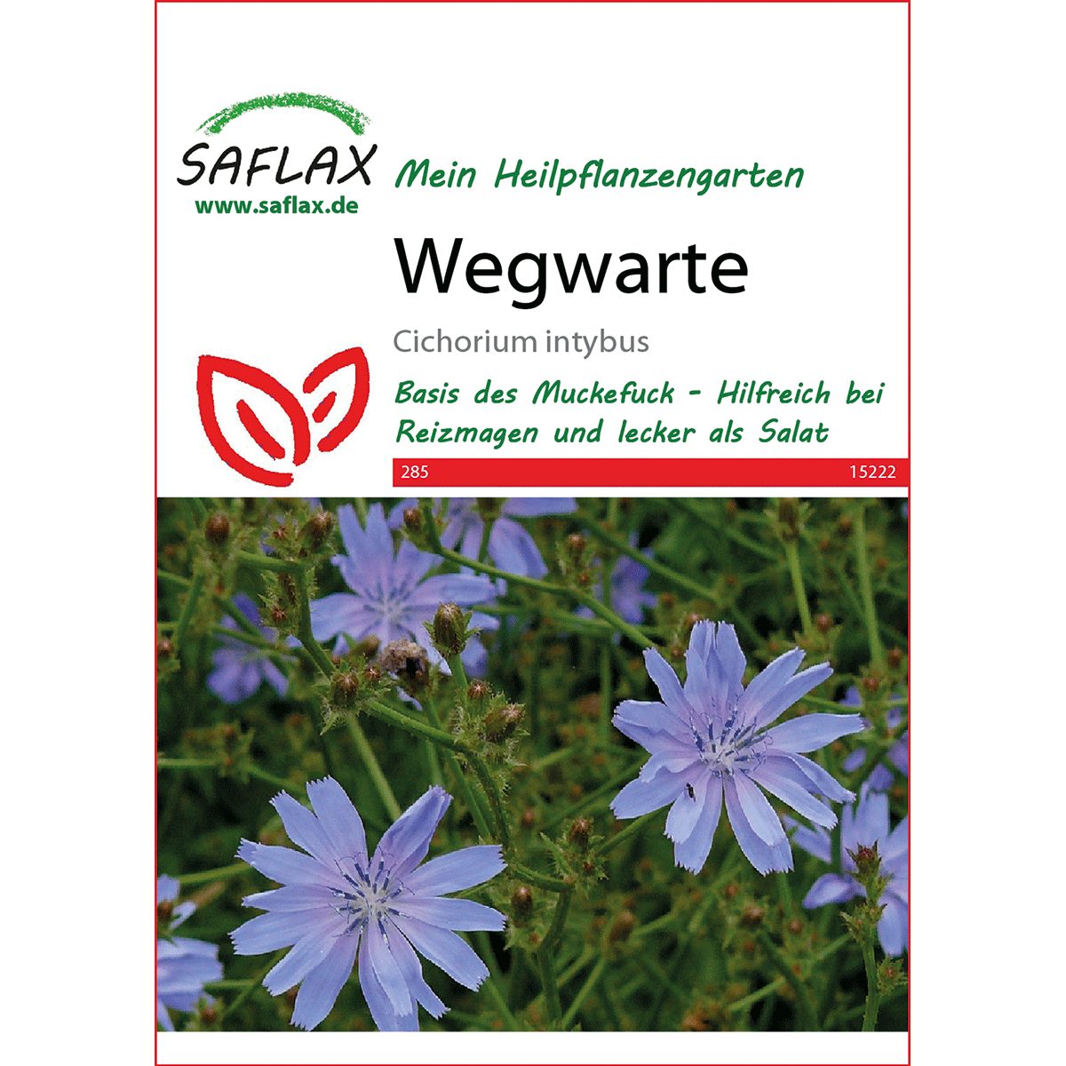 SAFLAX Blumensamen SAFLAX - Heilpflanzen - günstig online kaufen