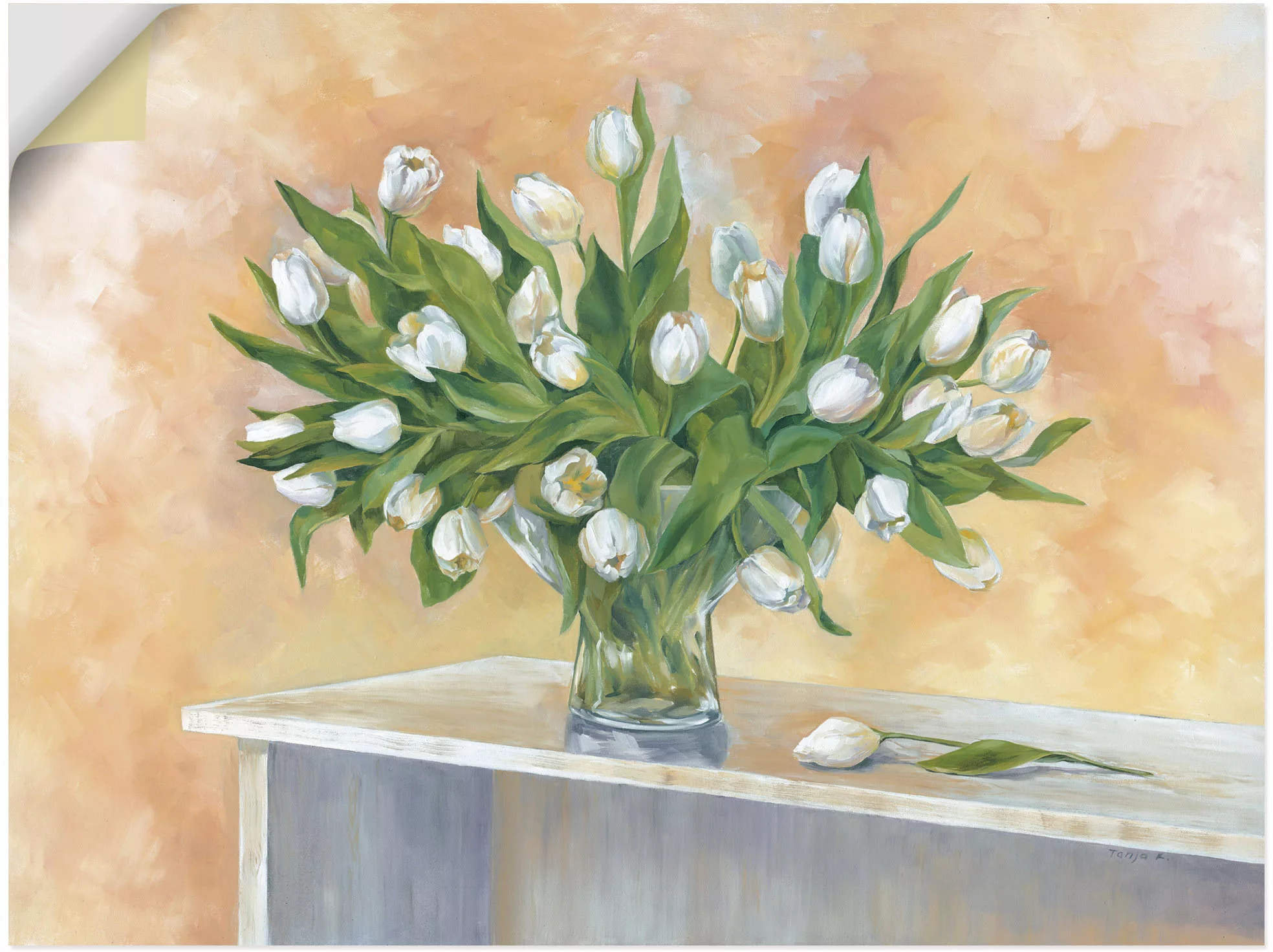Artland Wandbild »Weiße Tulpen«, (1 St.), als Leinwandbild, Wandaufkleber i günstig online kaufen