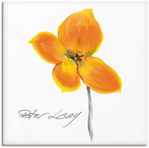 Artland Wandbild »Blume_weiß VI«, Blumen, (1 St.), als Leinwandbild, Poster günstig online kaufen