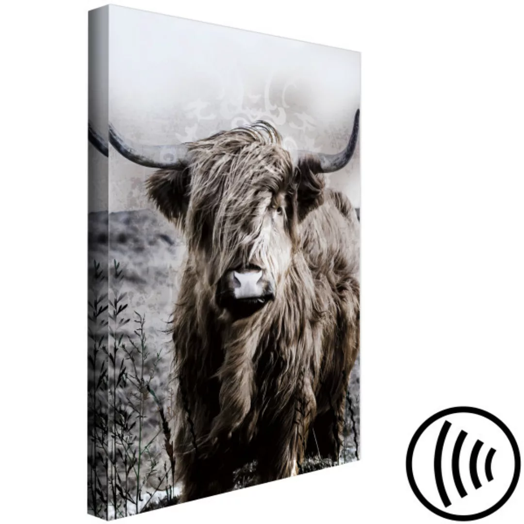 Bild auf Leinwand Highland Cow in Sepia XXL günstig online kaufen