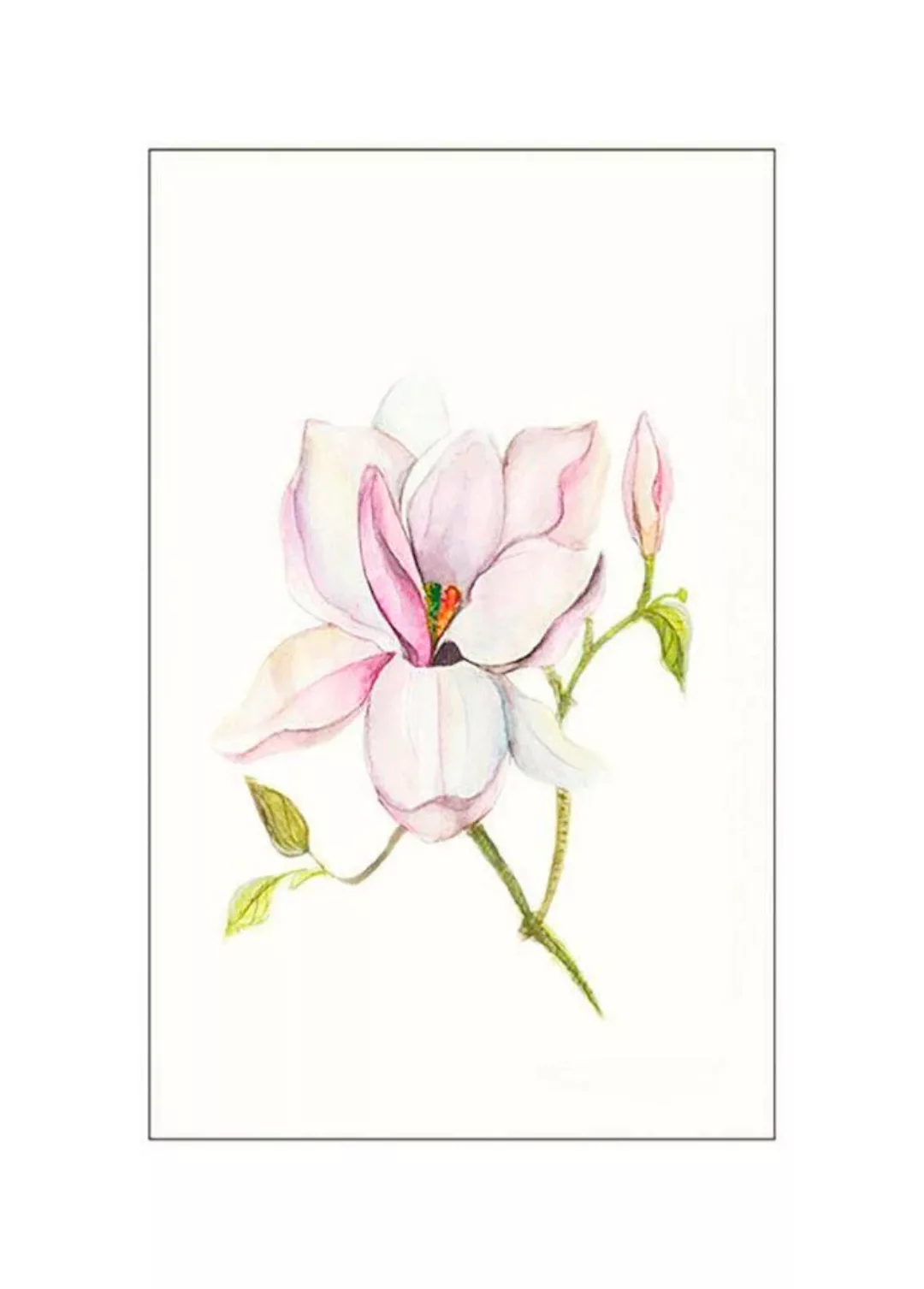 Komar Poster "Magnolia Shine", Blumen, (1 St.), Kinderzimmer, Schlafzimmer, günstig online kaufen