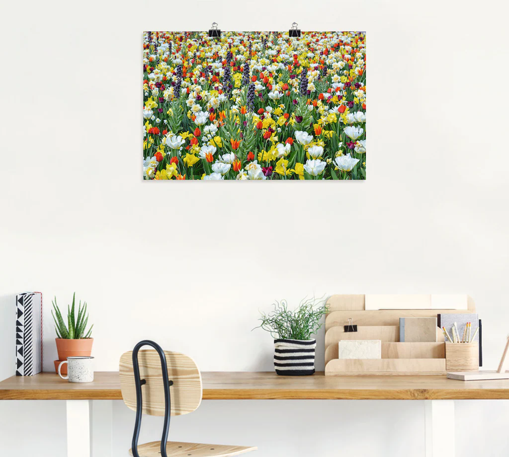 Artland Poster "Feld von verschiedenen Frühlingsblumen", Blumenwiese, (1 St günstig online kaufen