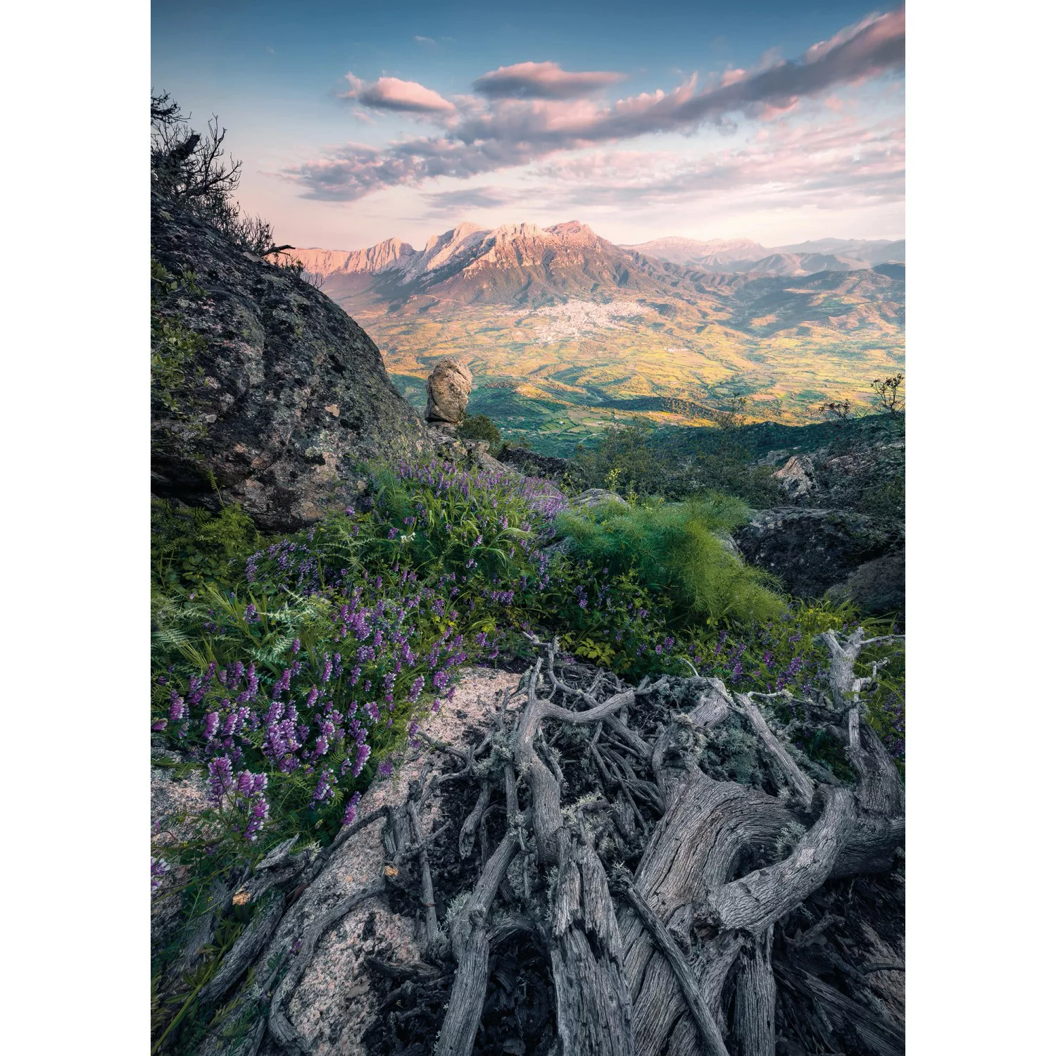 KOMAR Vlies Fototapete - Flowering Tales - Größe 200 x 280 cm mehrfarbig günstig online kaufen