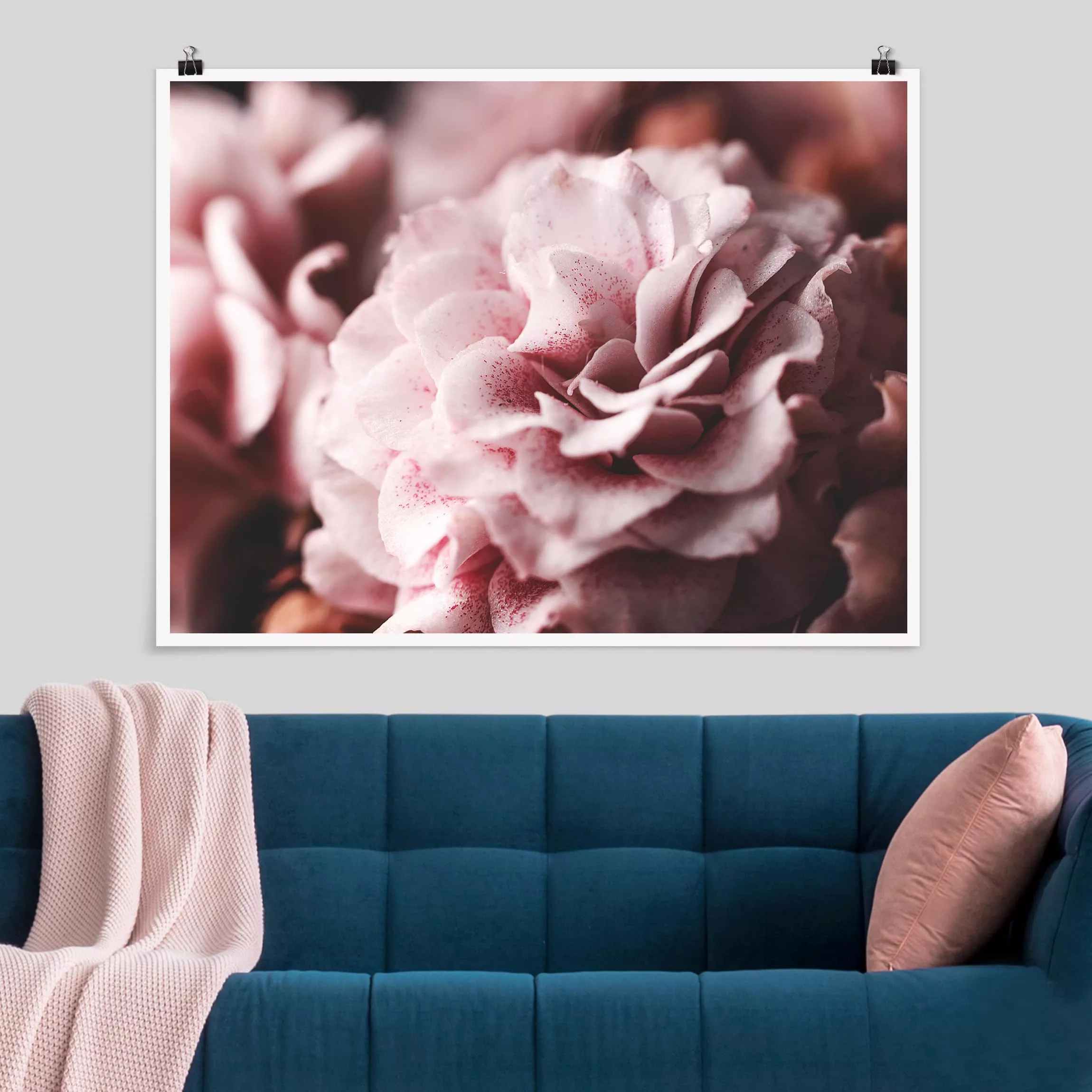 Poster Blumen - Querformat Shabby Rosa Rose Pastell günstig online kaufen