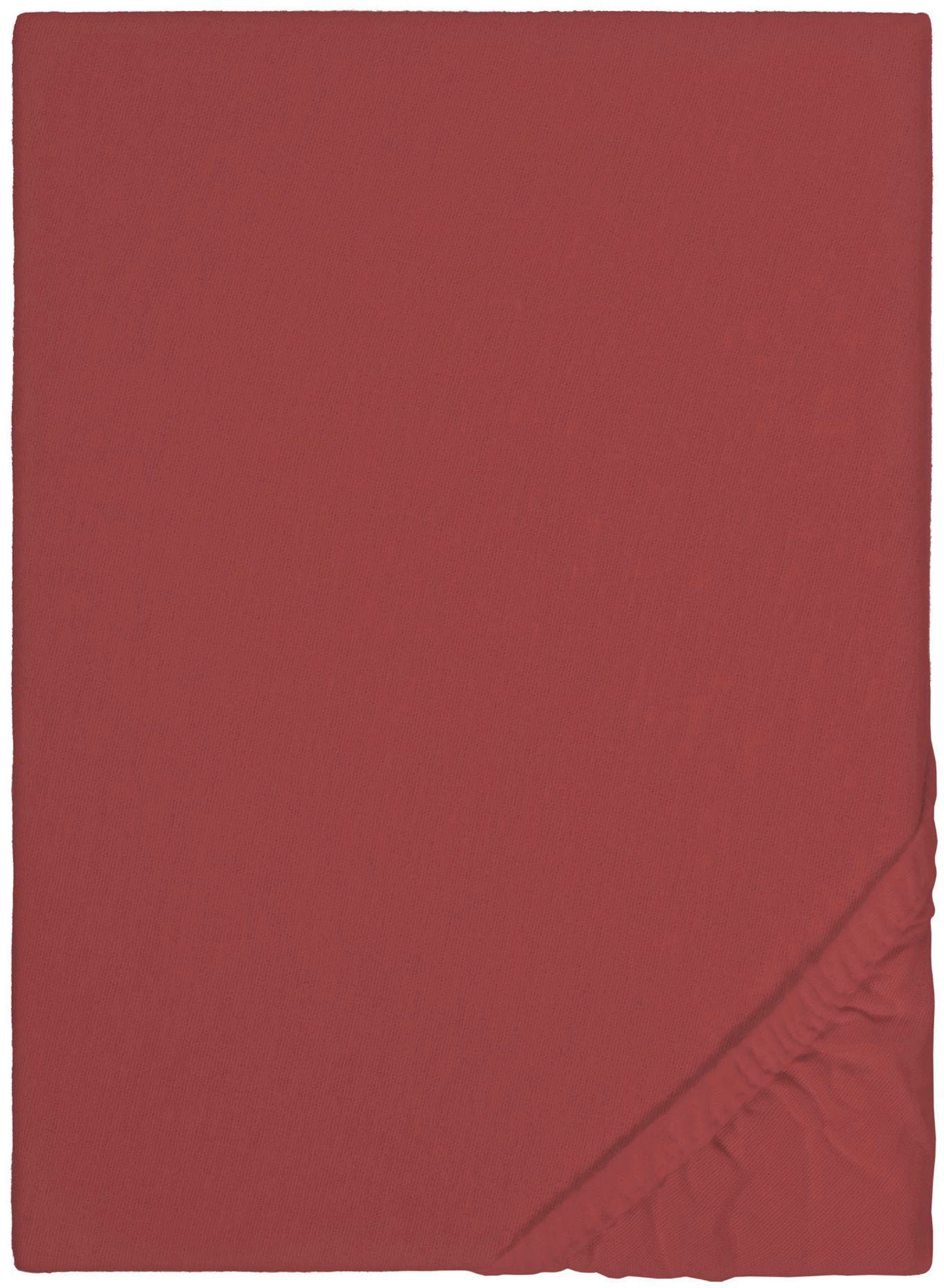 Biberna Spannbettlaken Biber in Gr. 90x200, günstig online kaufen