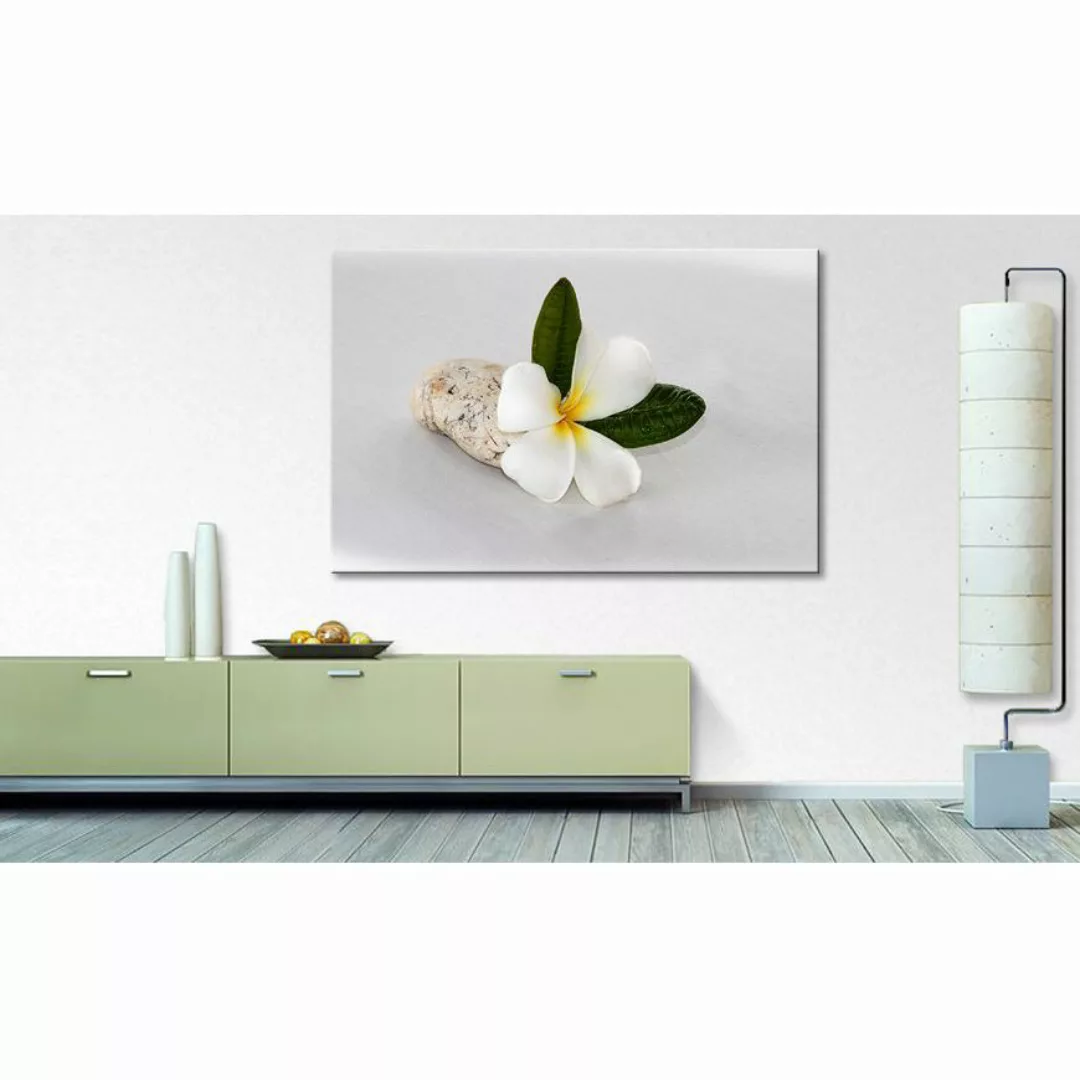 home24 Bild Beauty Blossom günstig online kaufen