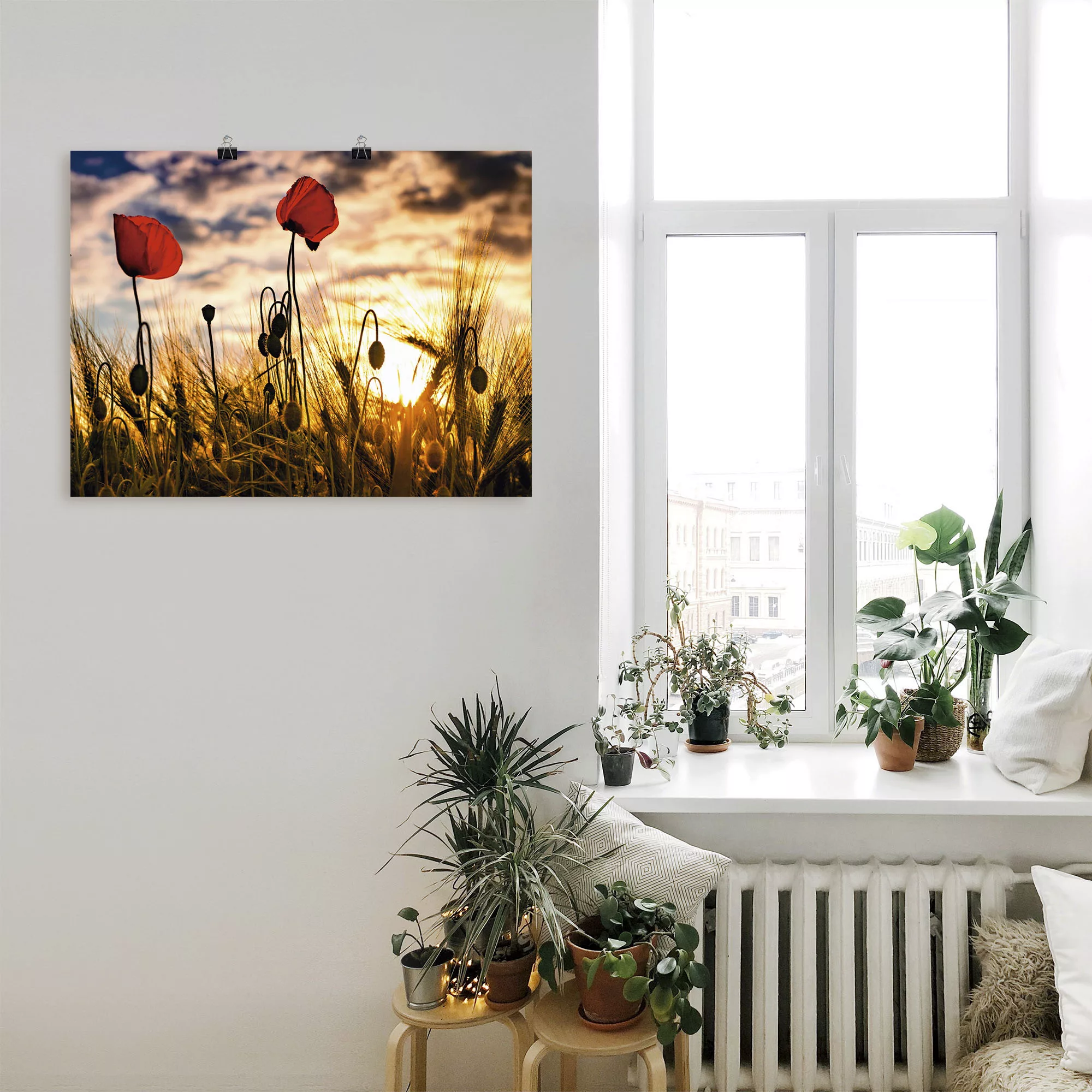 Artland Wandbild »Mohnblumen im Sonnenuntergang«, Blumen, (1 St.), als Alub günstig online kaufen