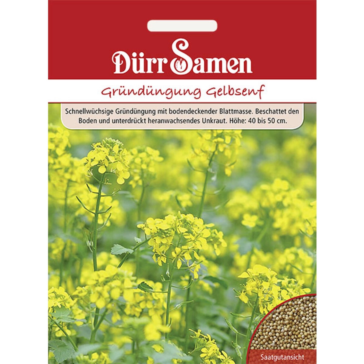 Dürr Samen Gründüngung Gelbsenf 80 G Saatgut günstig online kaufen